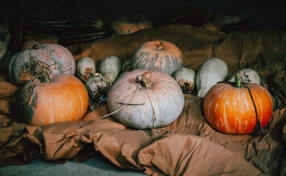 Harvest