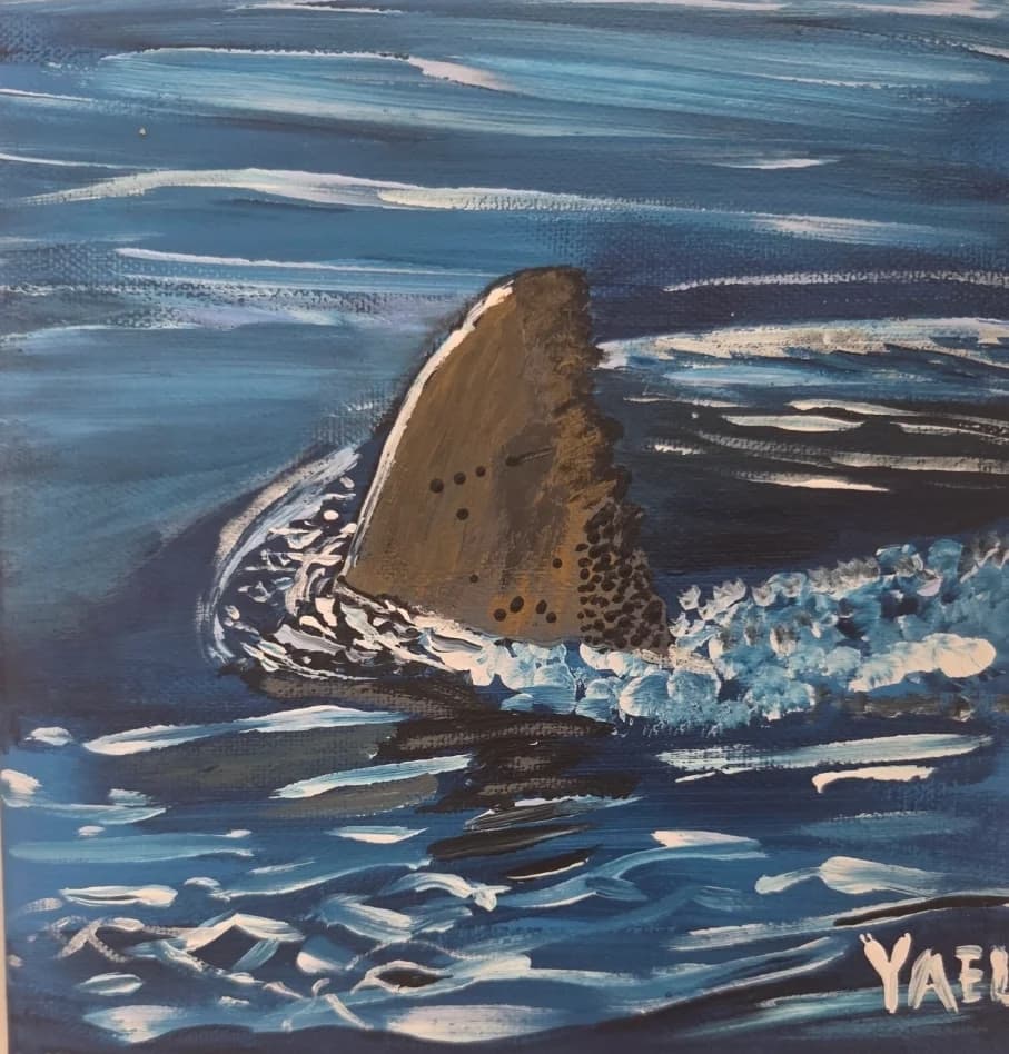 Shark in Blue Current
