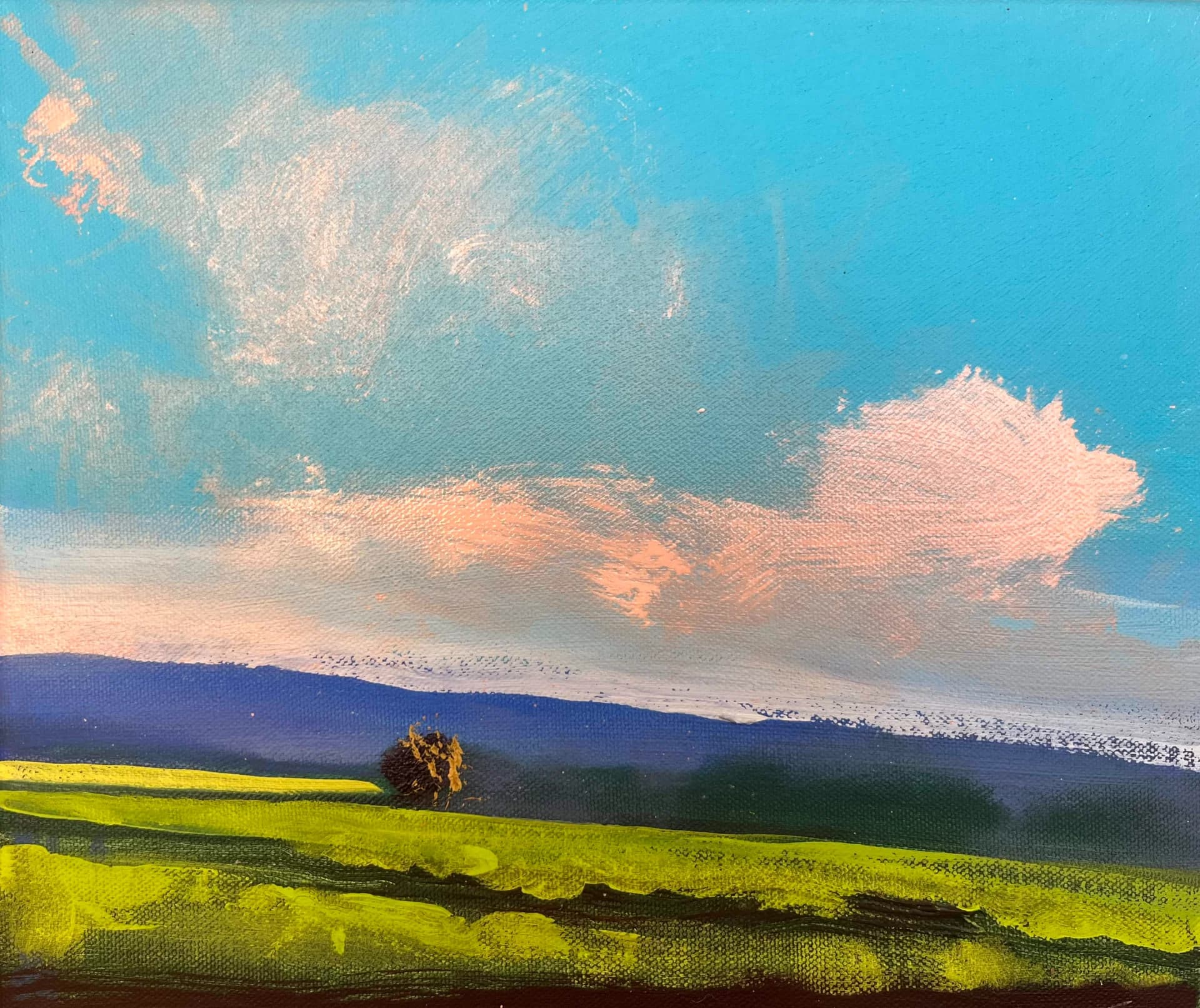 DUSK SPRING, EMEK HAELLAH 01