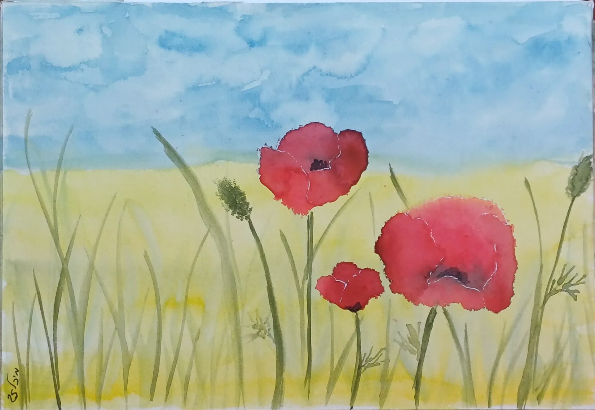 Anemones