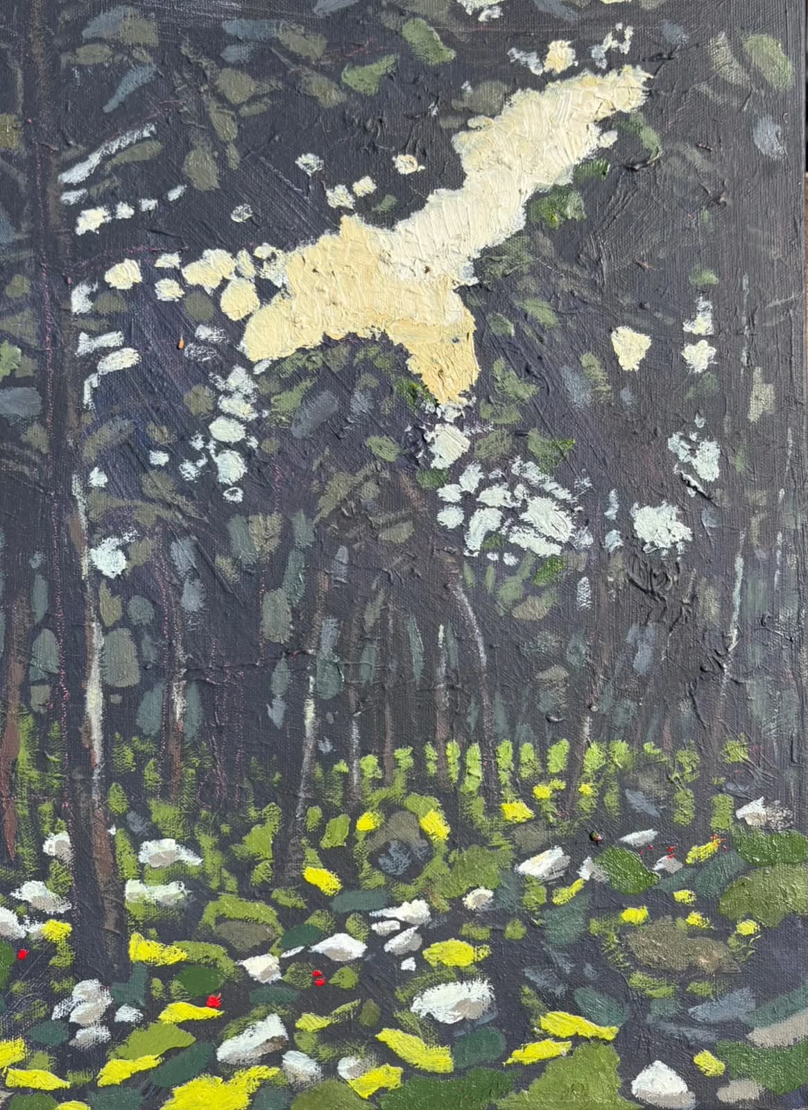 Forest sunset