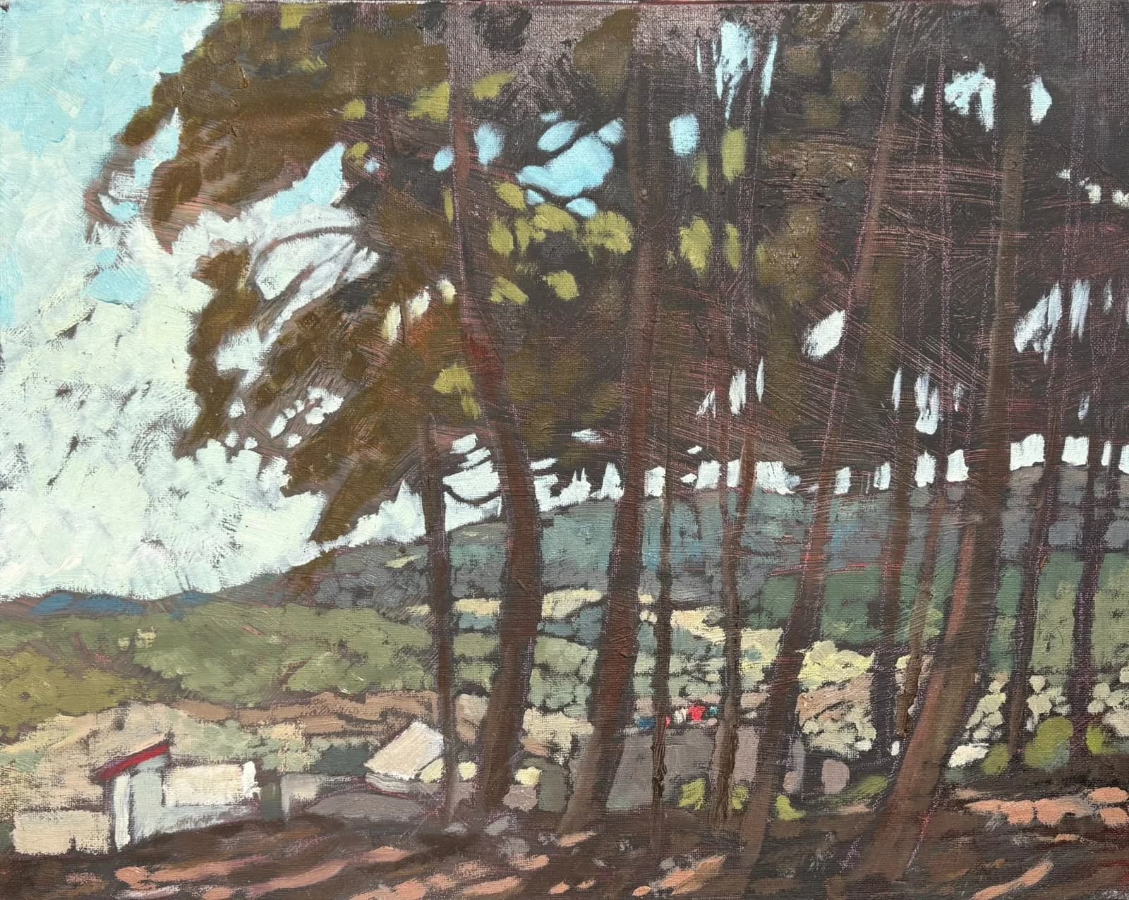 Trees on the Hillside