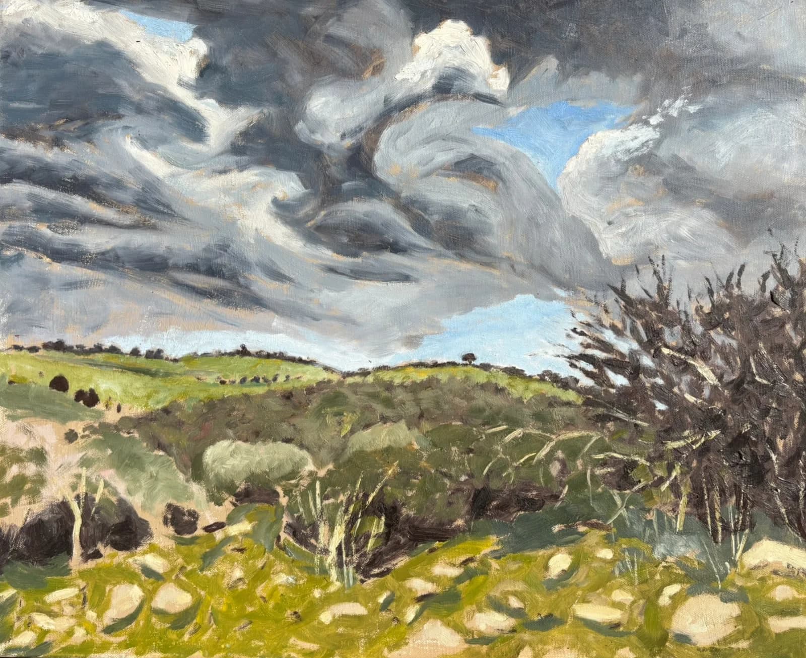 Storm Light Over Fields