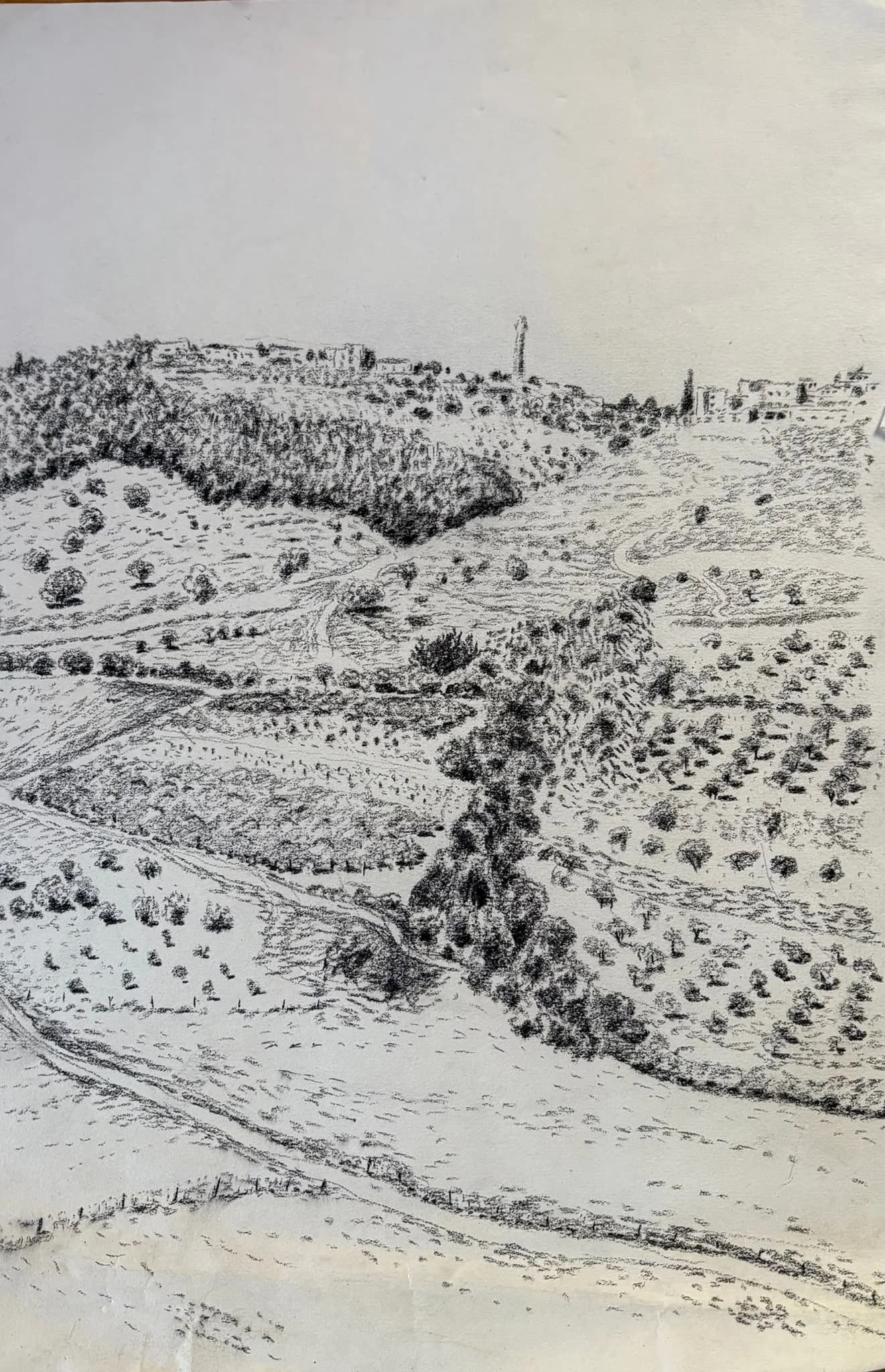 Hillside Paths