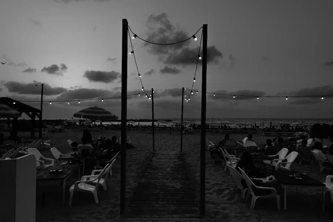 Evening Lights by the Shore