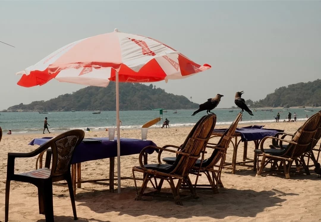 Beach Chairs and Crows