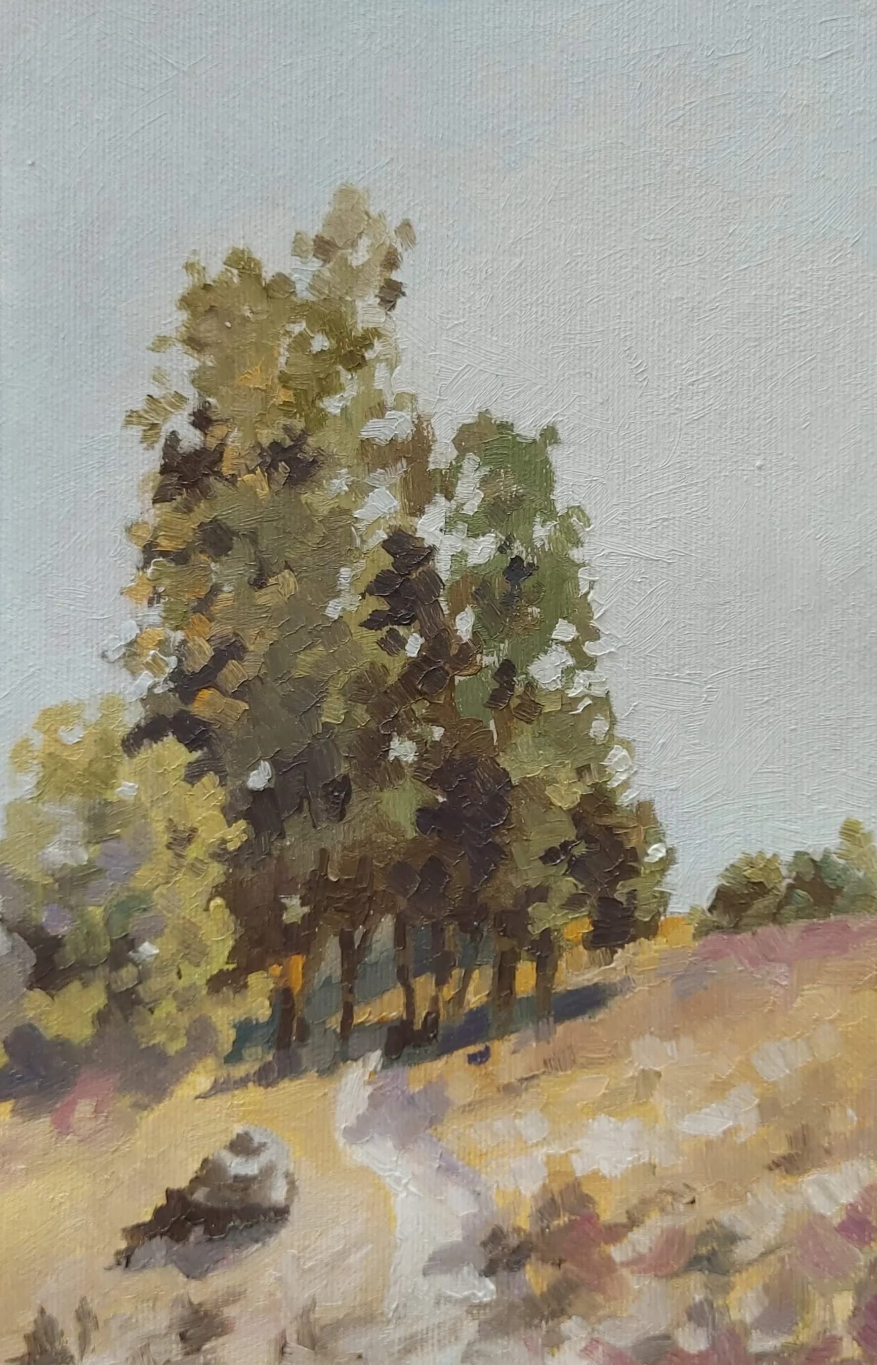 Trees in Pale Light