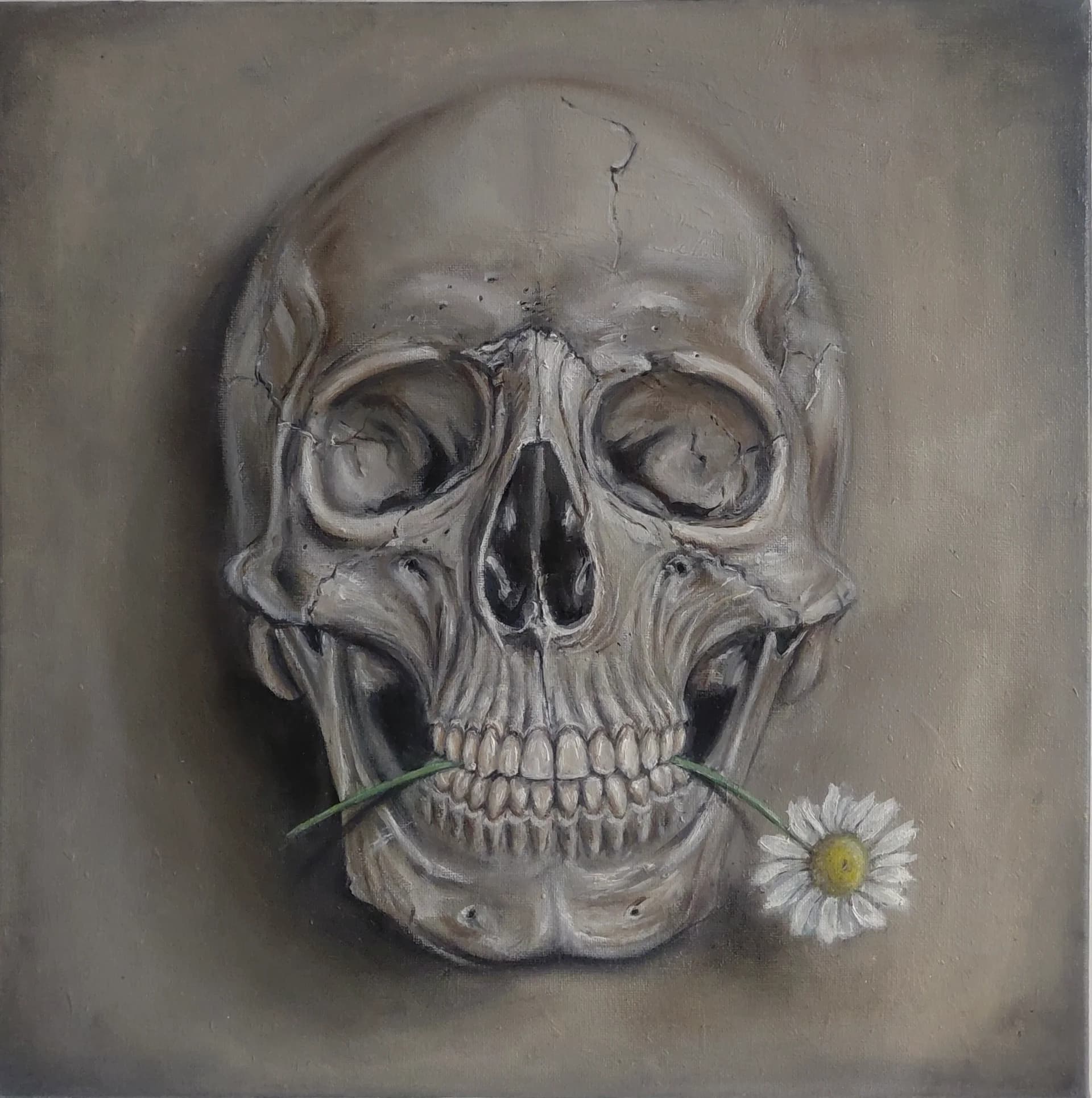 Skull with Daisy