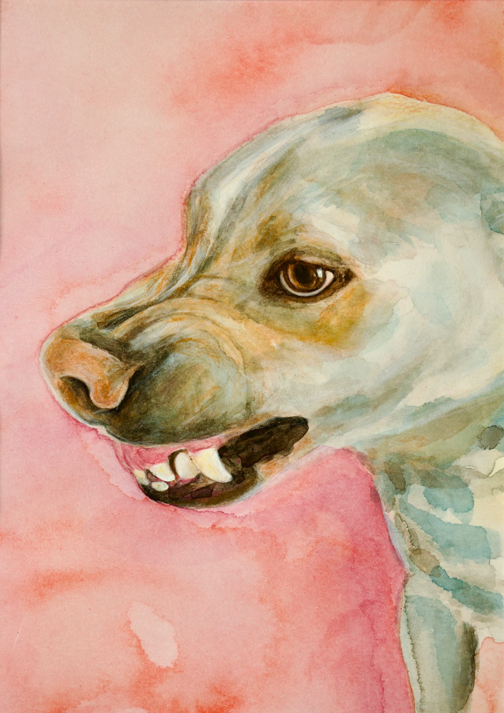 Croisé 4