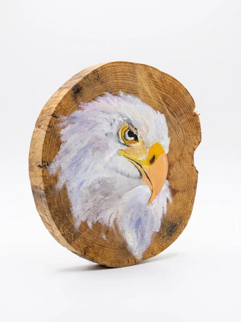 Eye of the Eagle