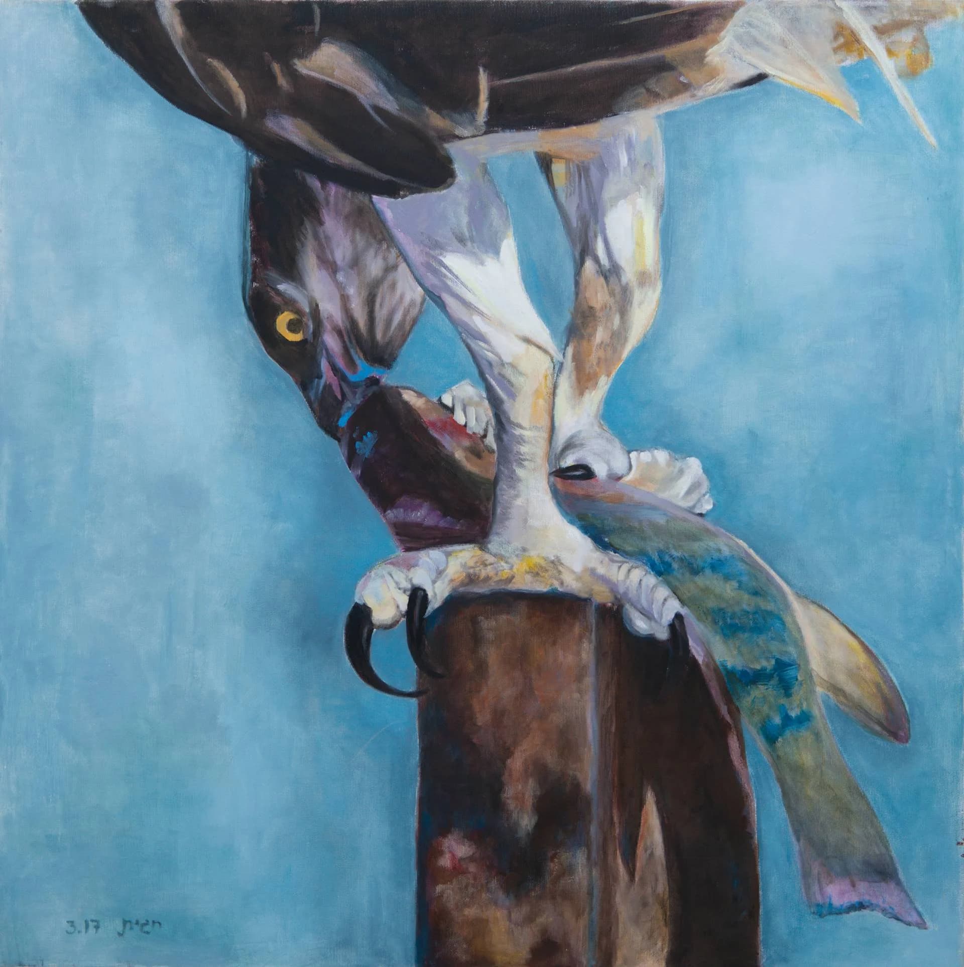 Raptor with Catch