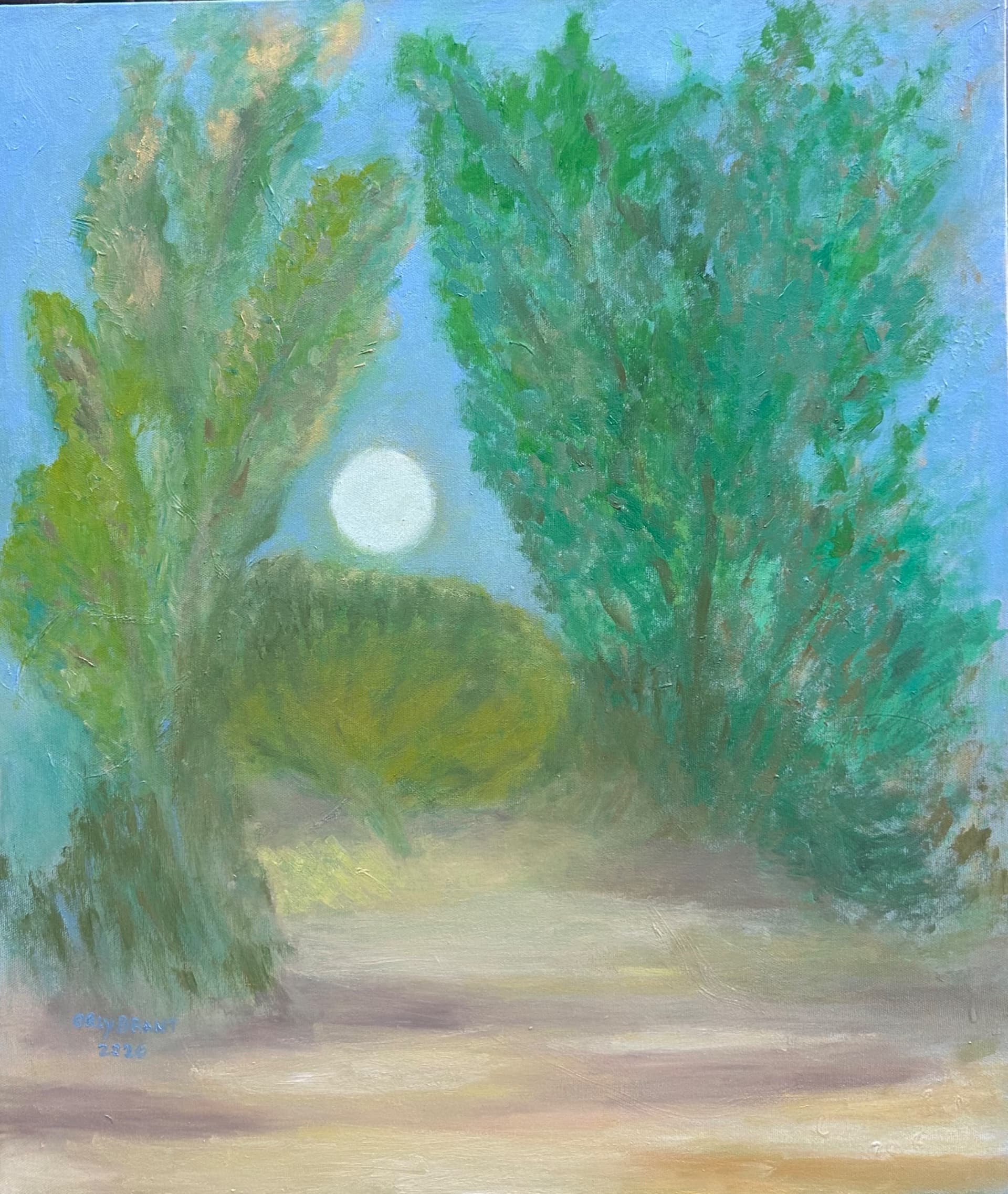 ירח זורח בט״ו באב 2026