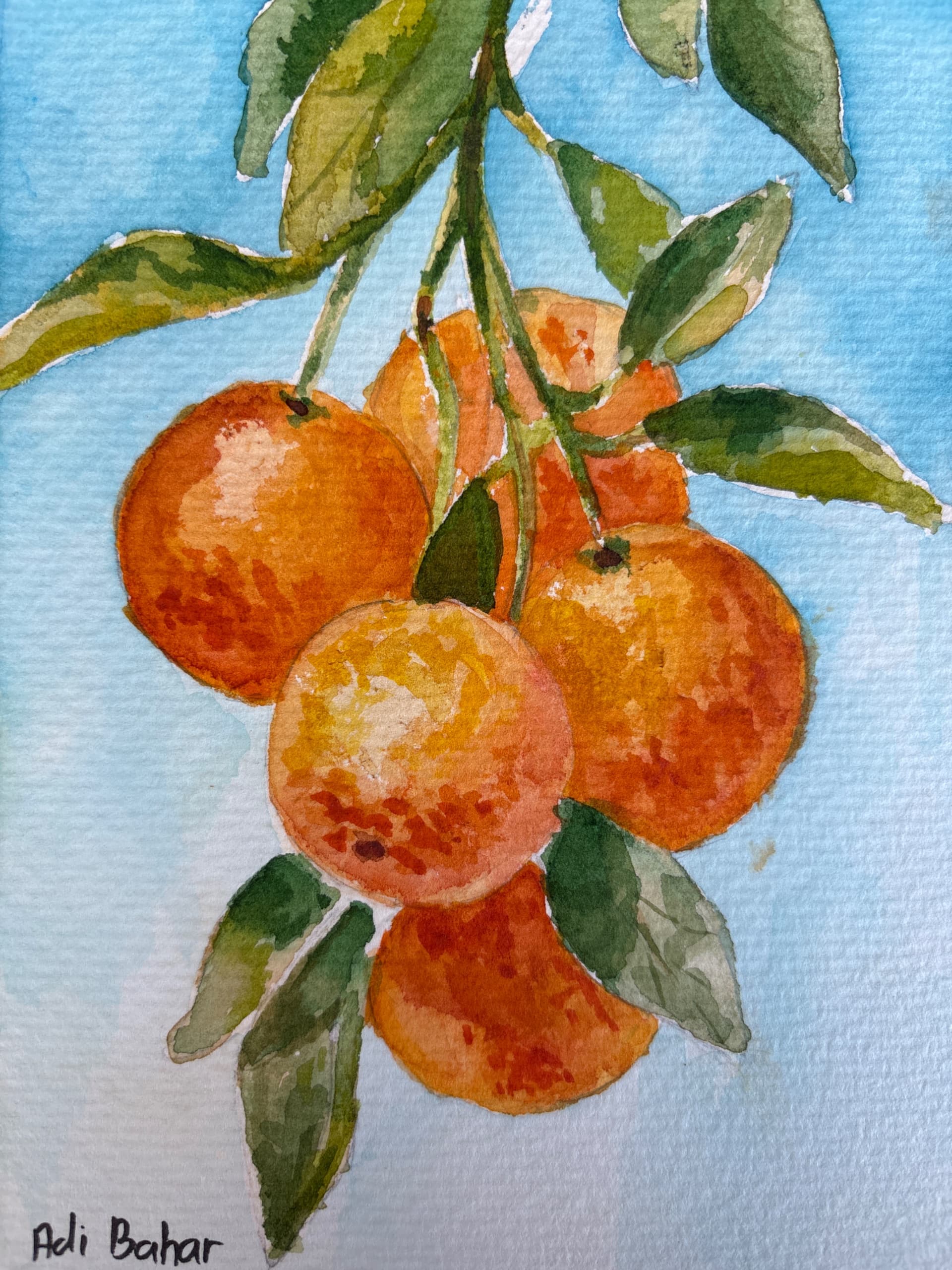 Citrus Against Blue