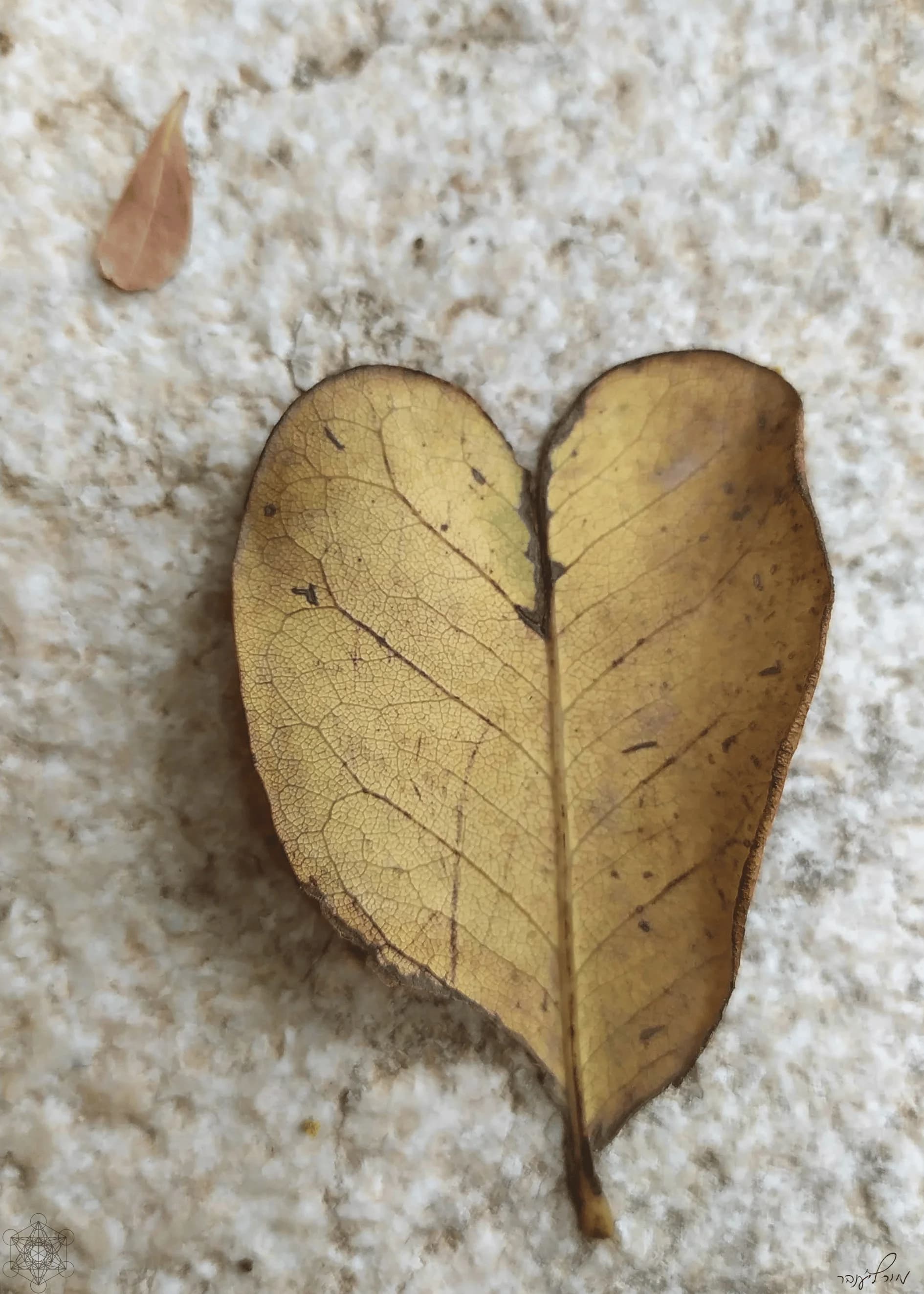 "An Unintentional Grace , Engraved in Time"