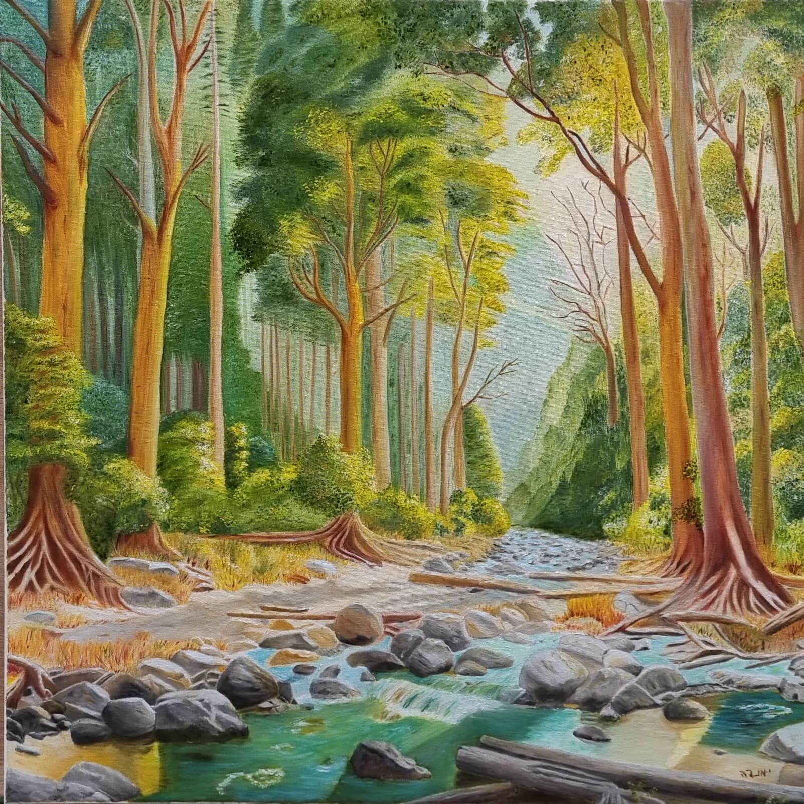 Creek Beneath the Canopy