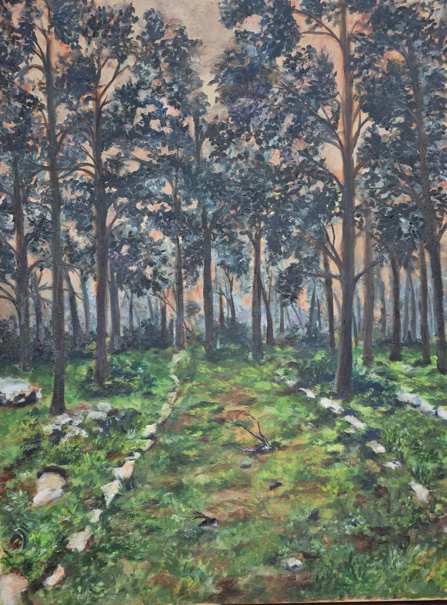 Forest Path in Evening Light