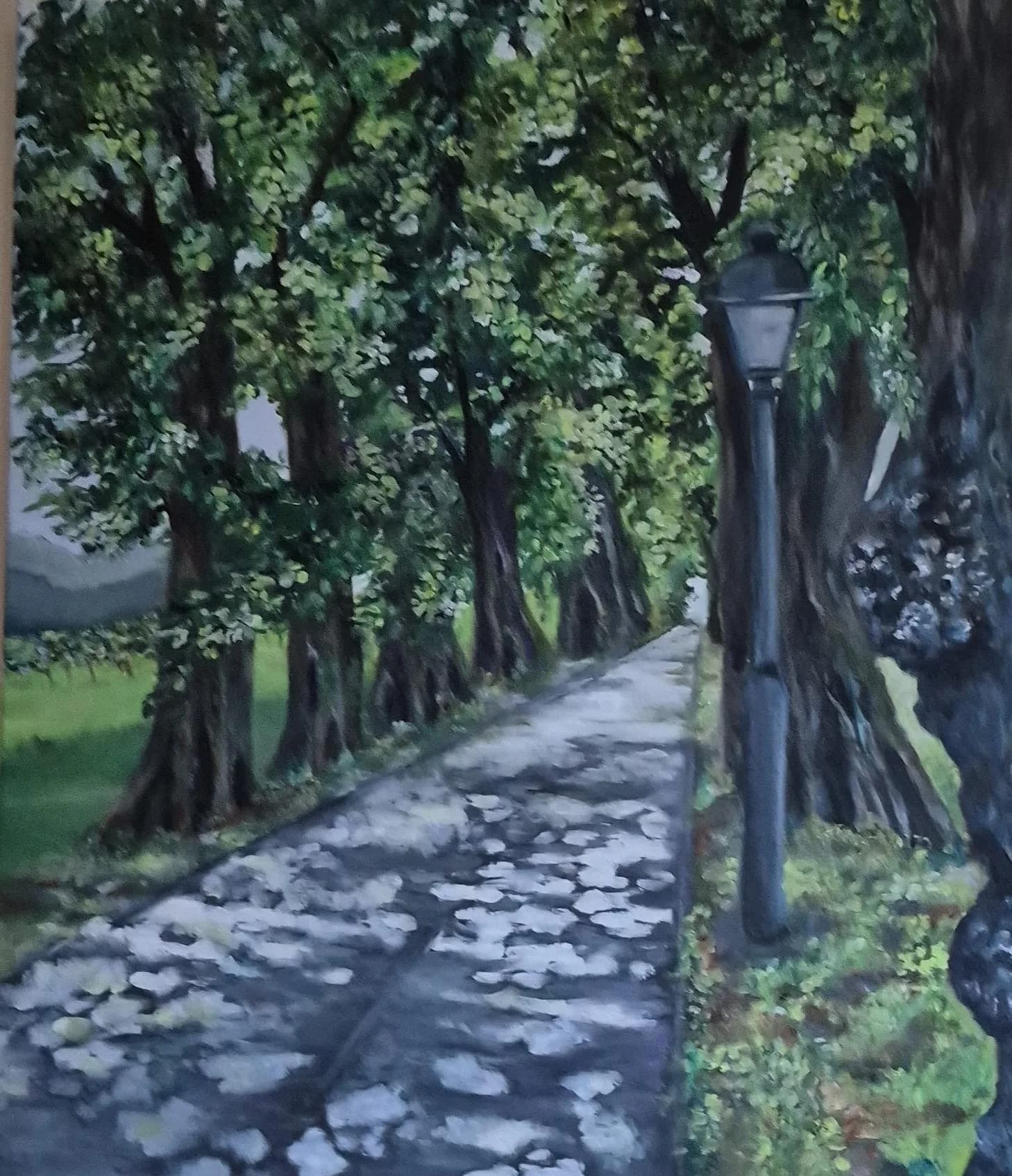 Path Beneath the Canopy