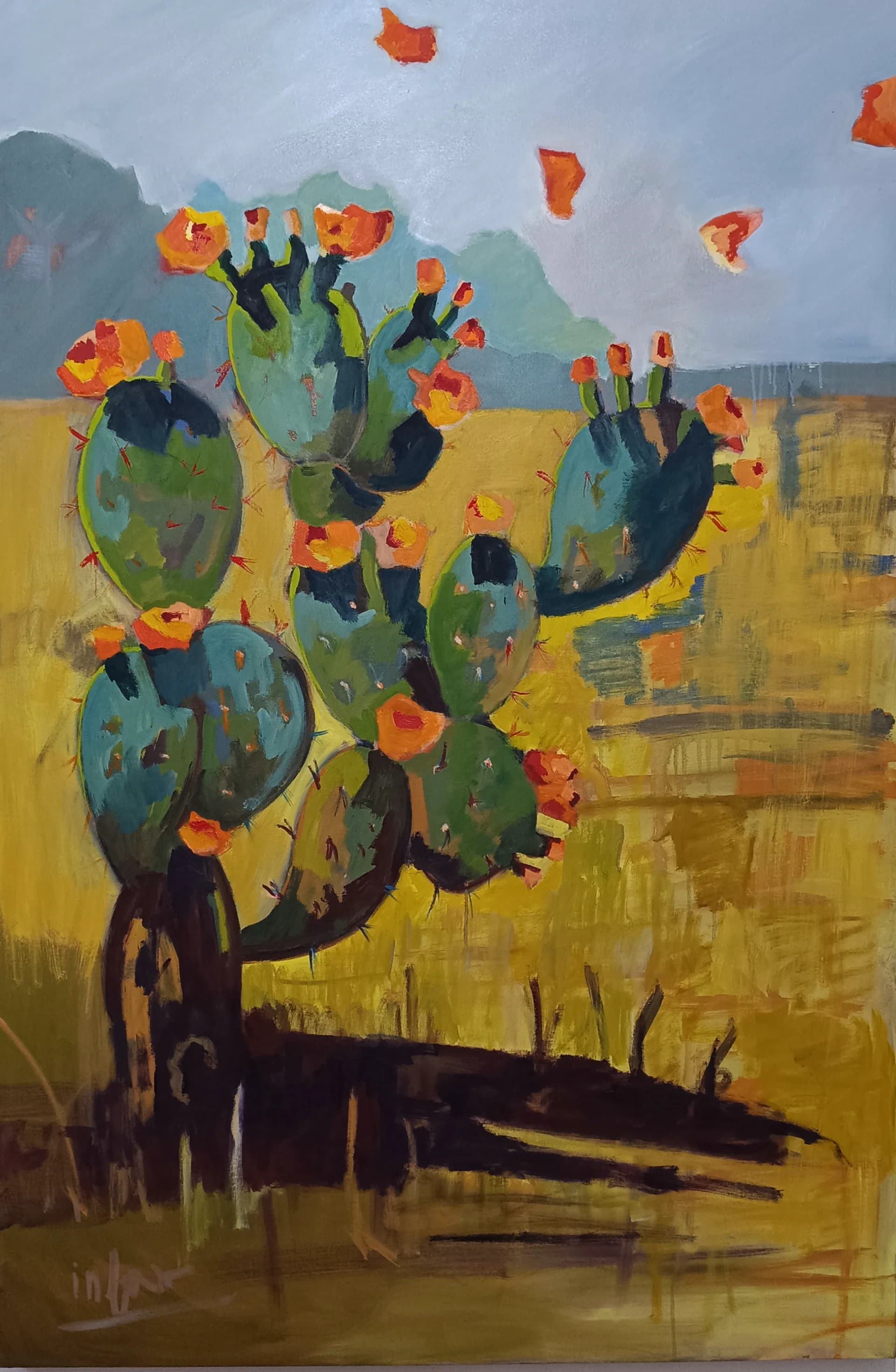 פריחת הצבר / Blooming Sabra Cactus