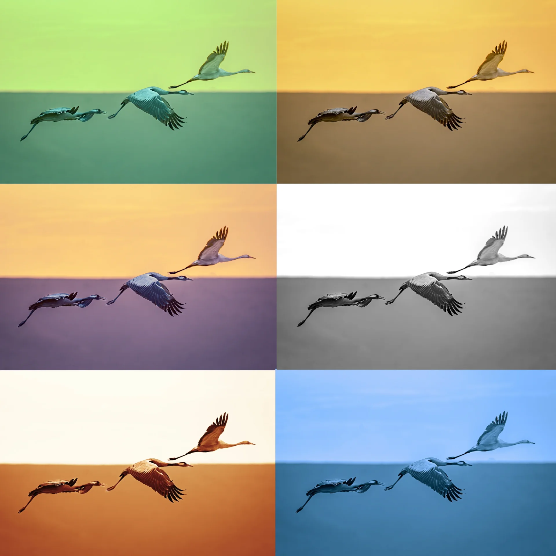 Six Skies, One Flight