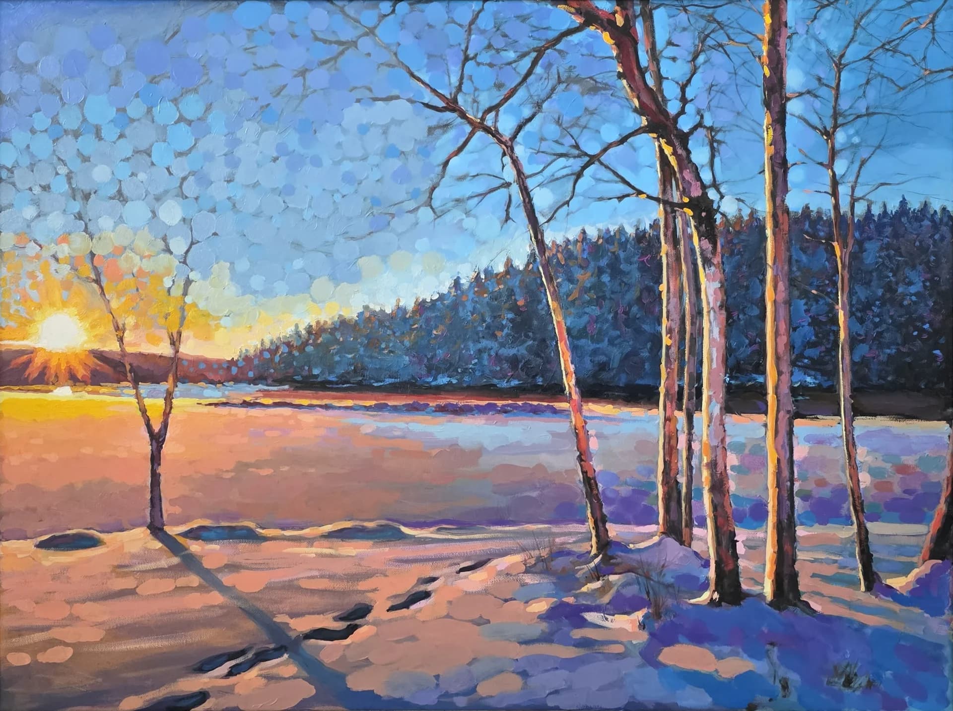 Winter Sun Through Trees