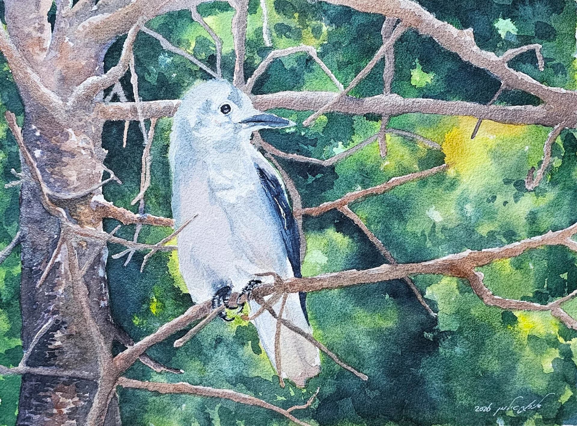 White Bird in Green Canopy