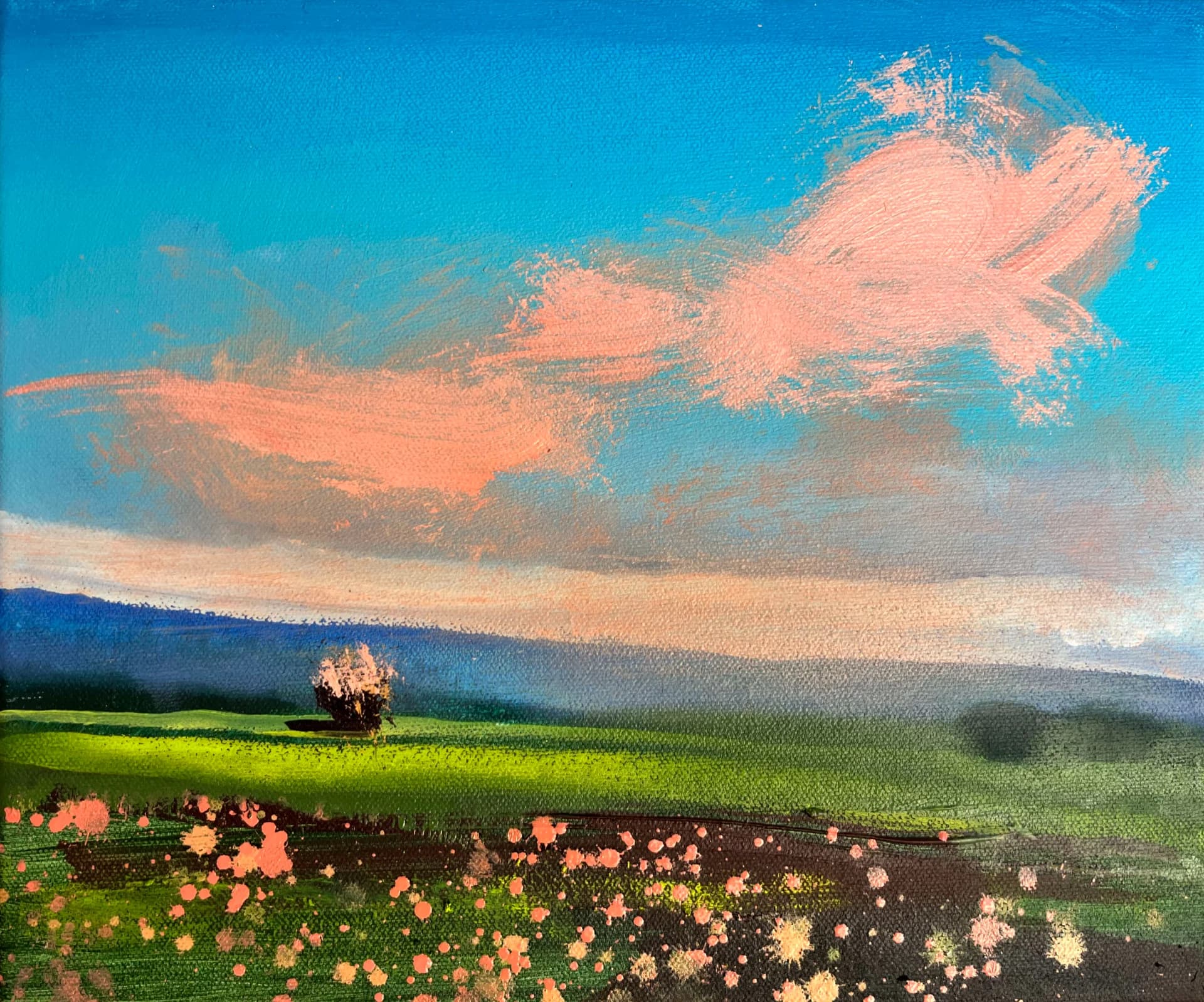 DUSK SPRING, EMEK HAELLAH 02