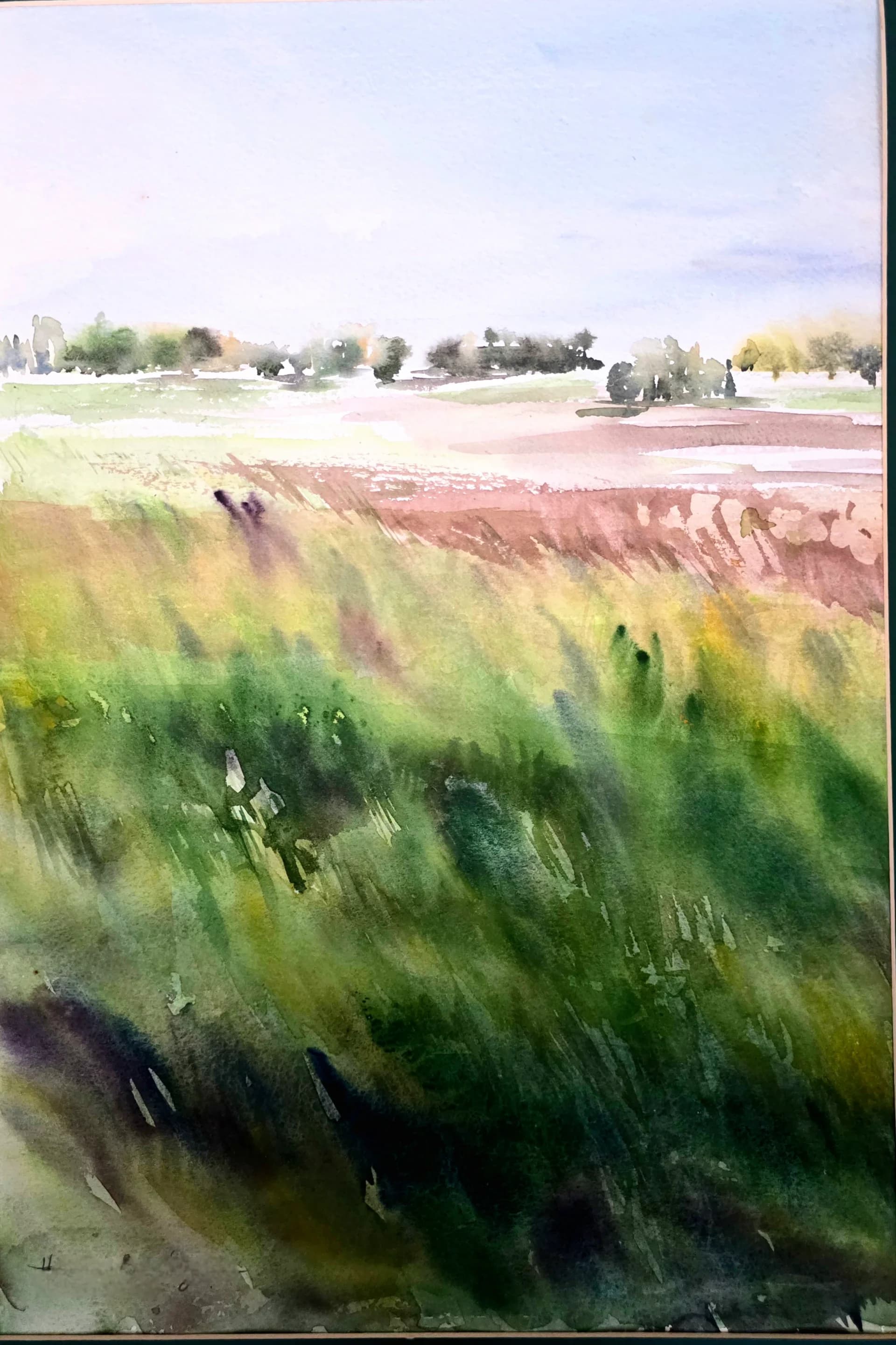 Beyond the Green Fields