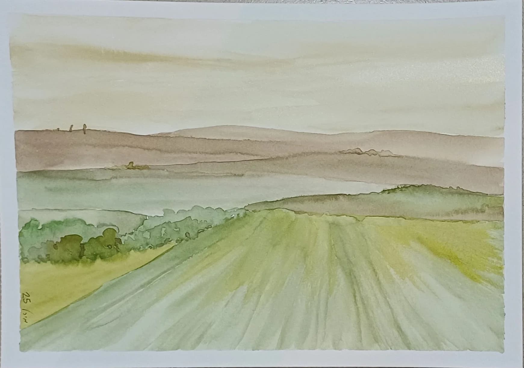 Fields Beneath a Pale Sky