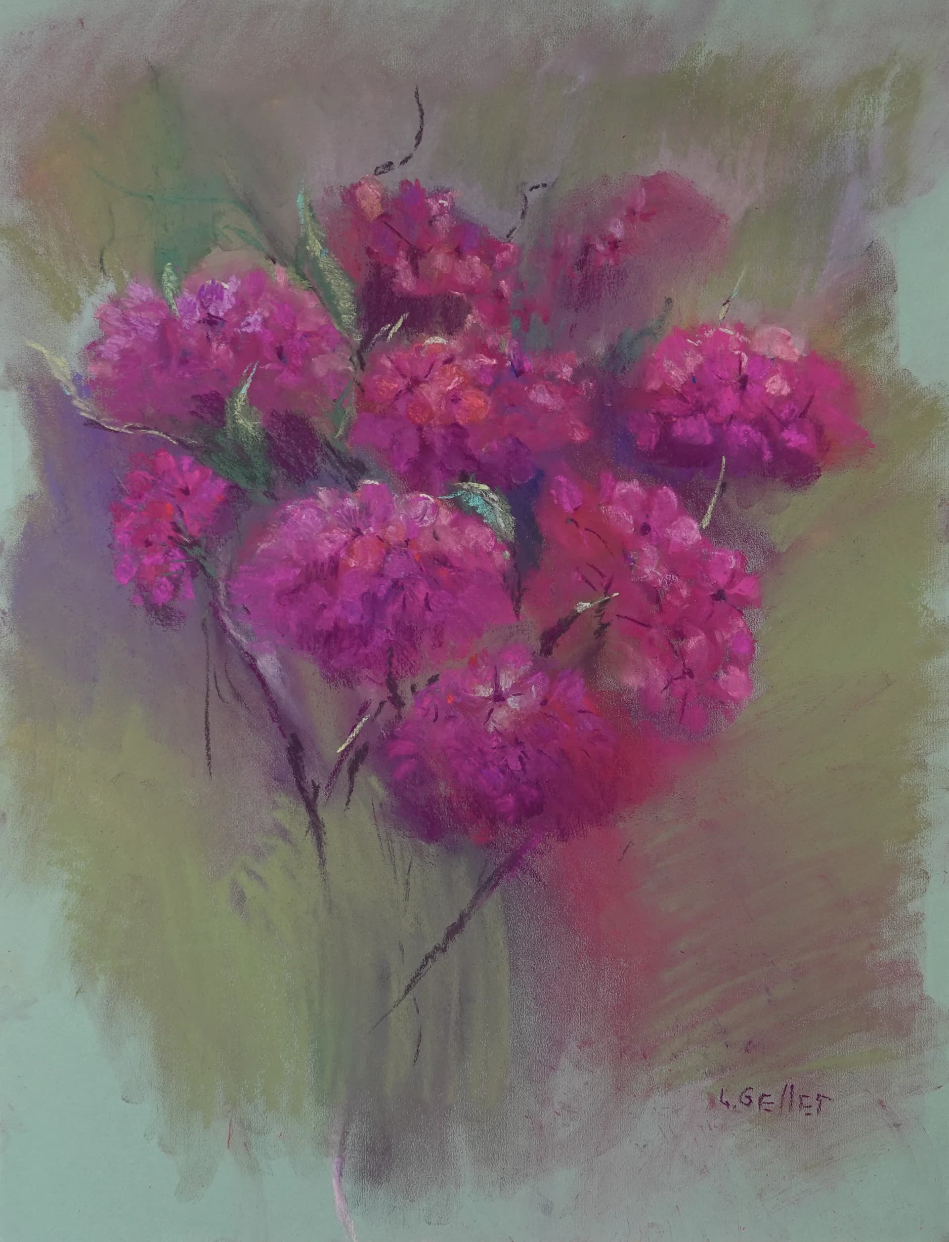 Magenta Blossom Study