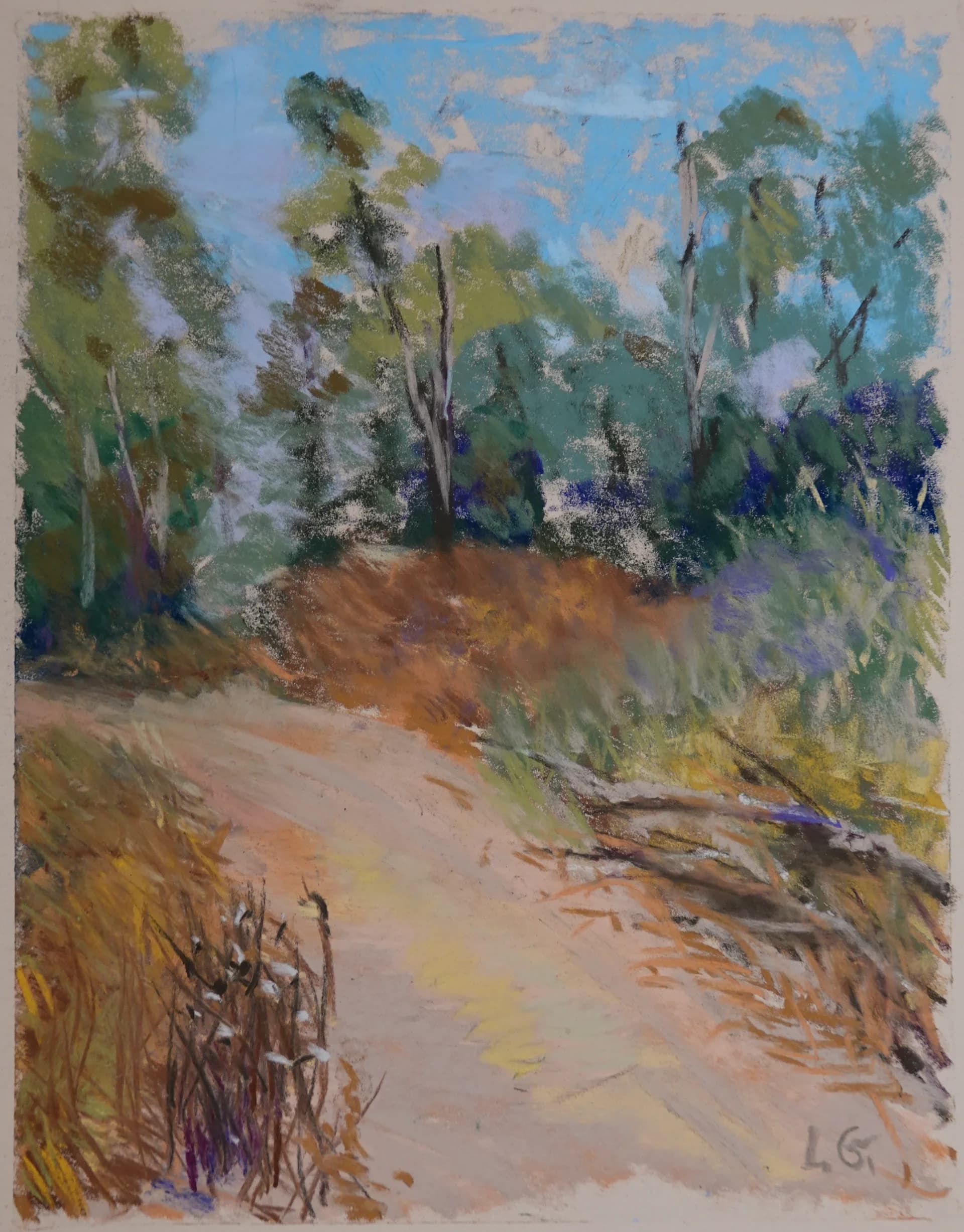 Path Through Summer Woods