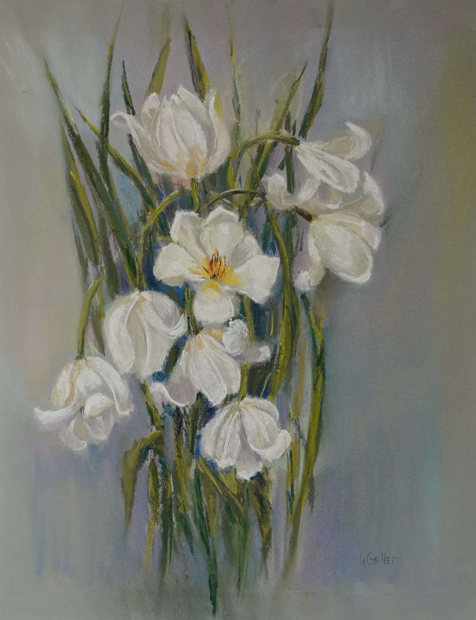 White Blooms in Gray