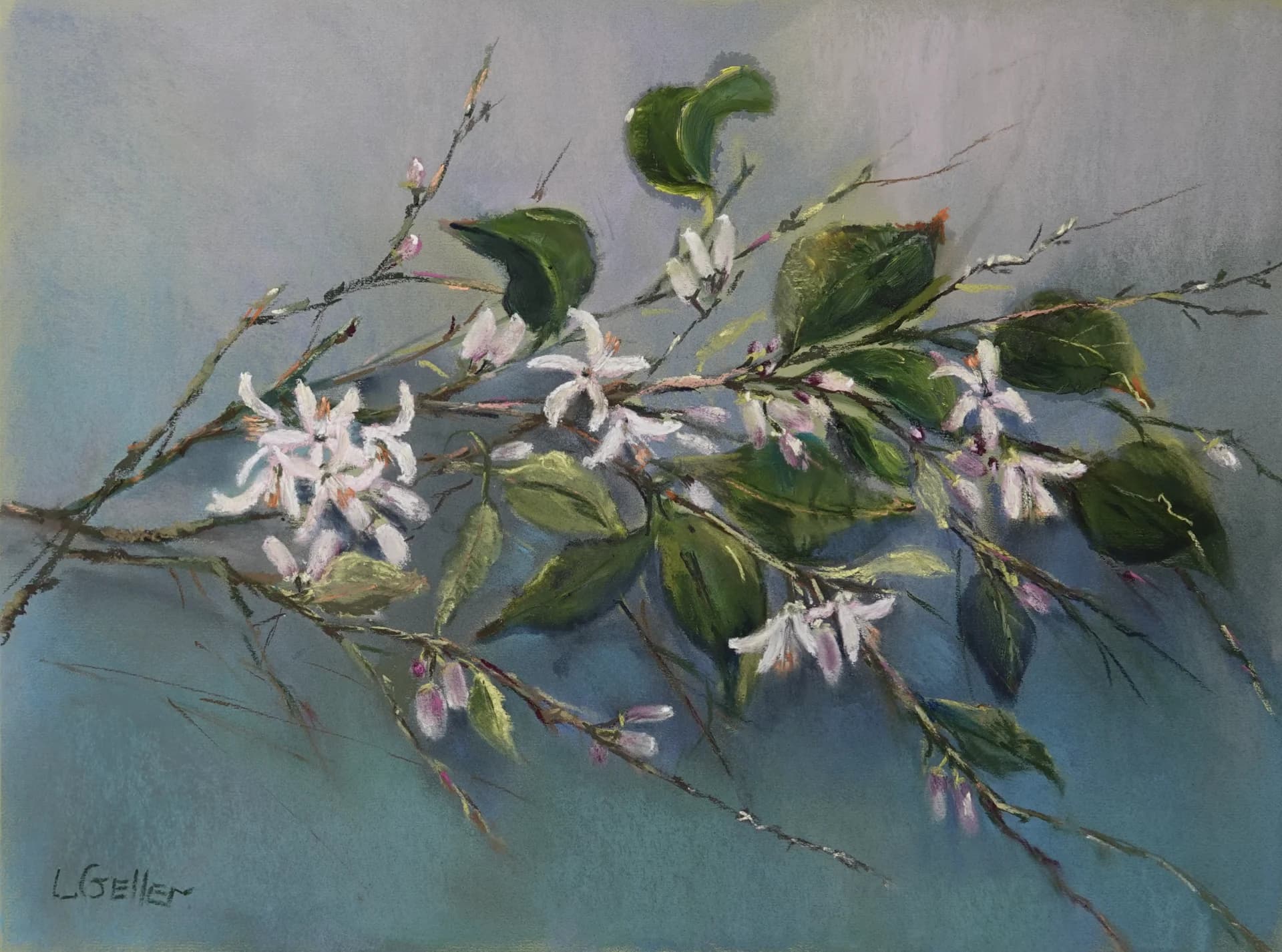 Blossoms in Blue Haze