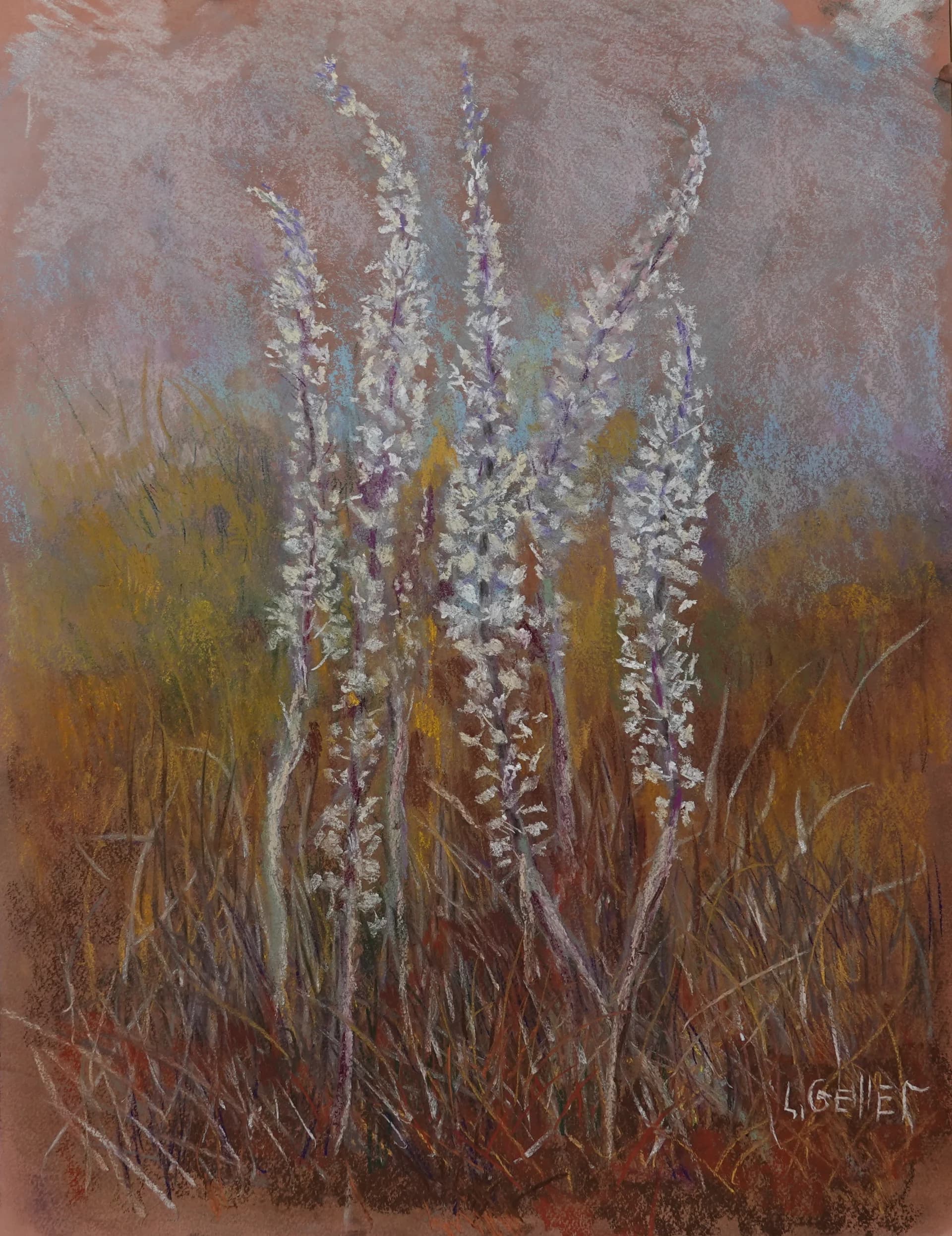 Pale Stalks in Autumn