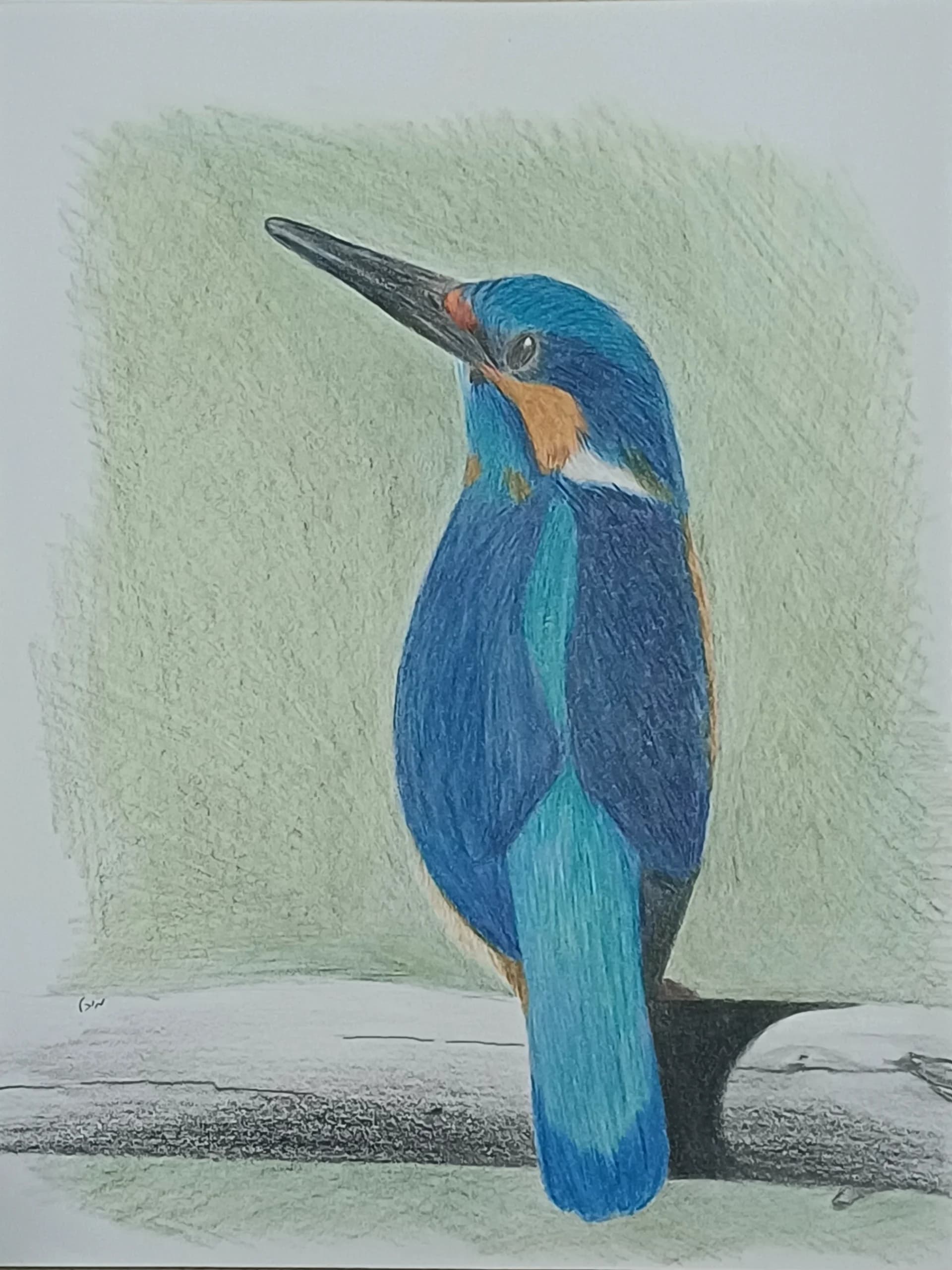 Kingfisher in Blue