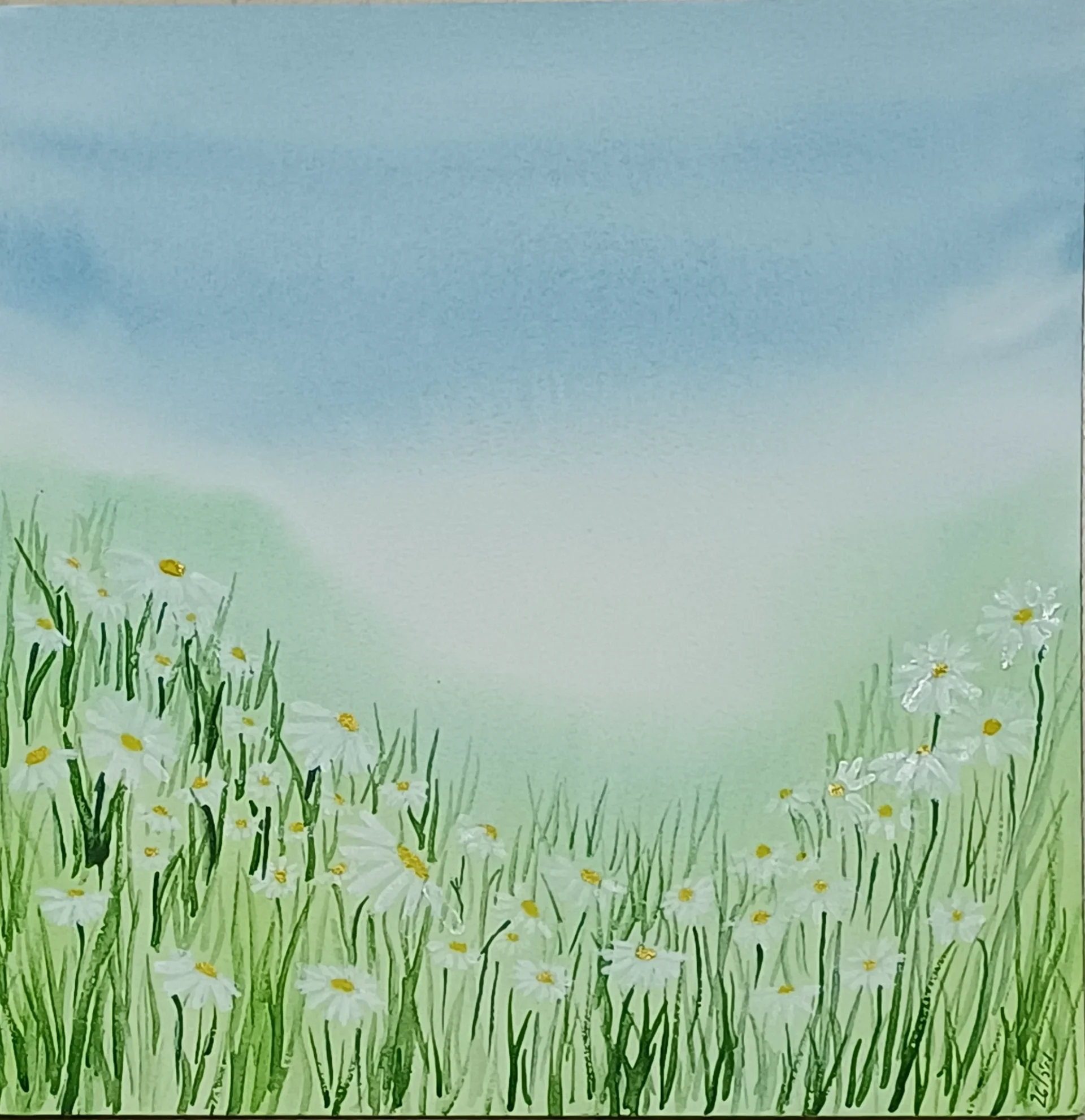 Daisies Beneath Pale Blue