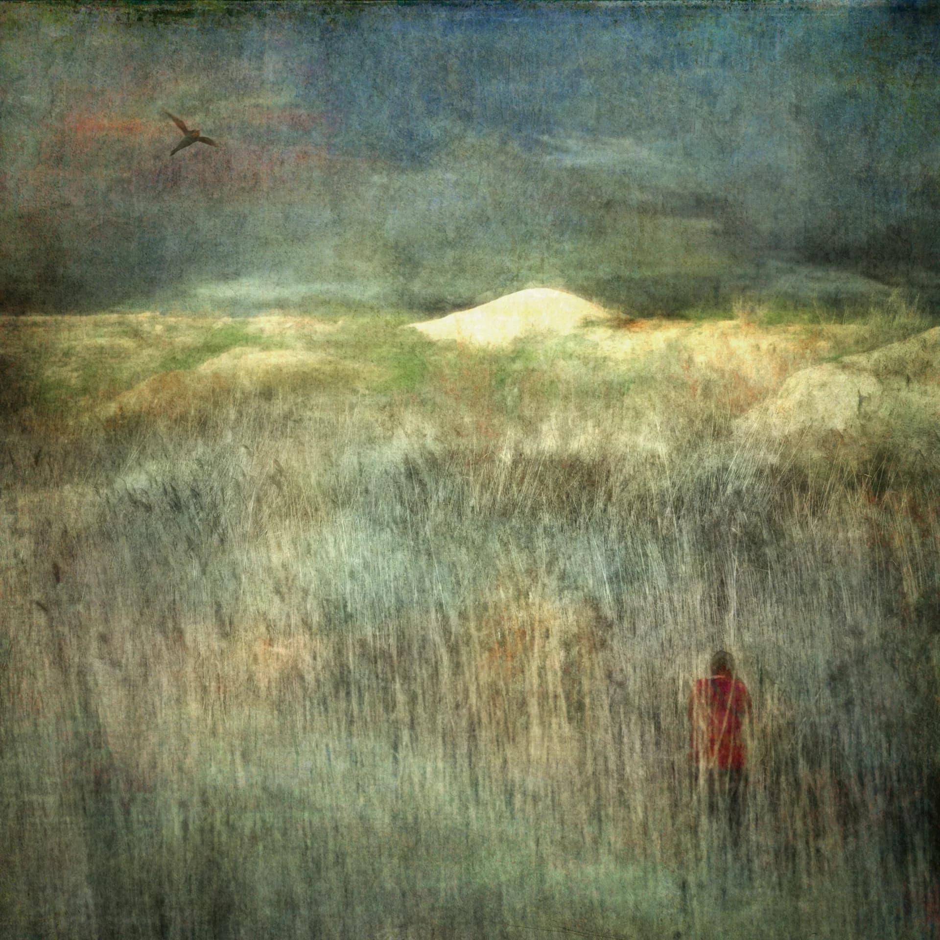 Beyond the Quiet Field