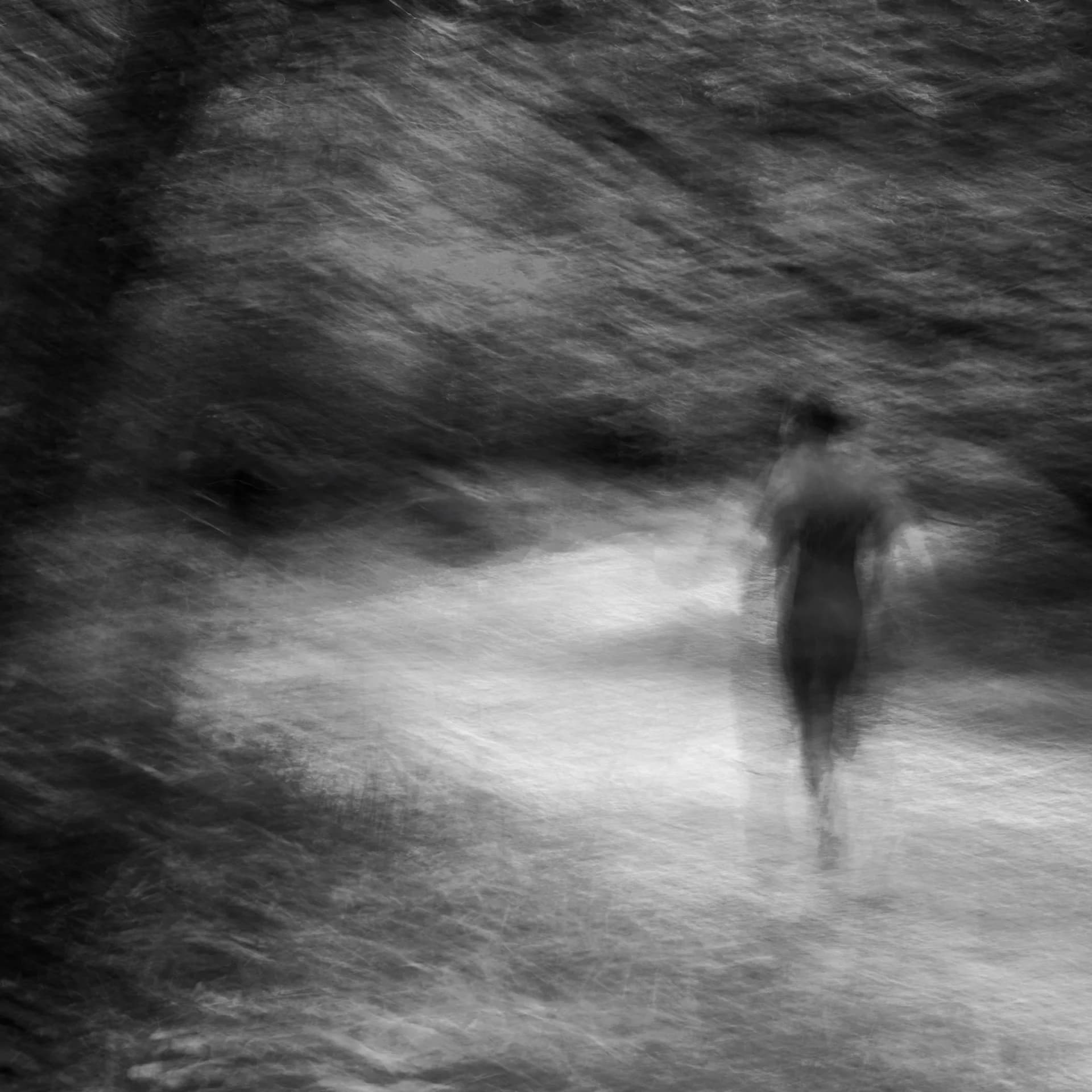 Fleeting Presence
