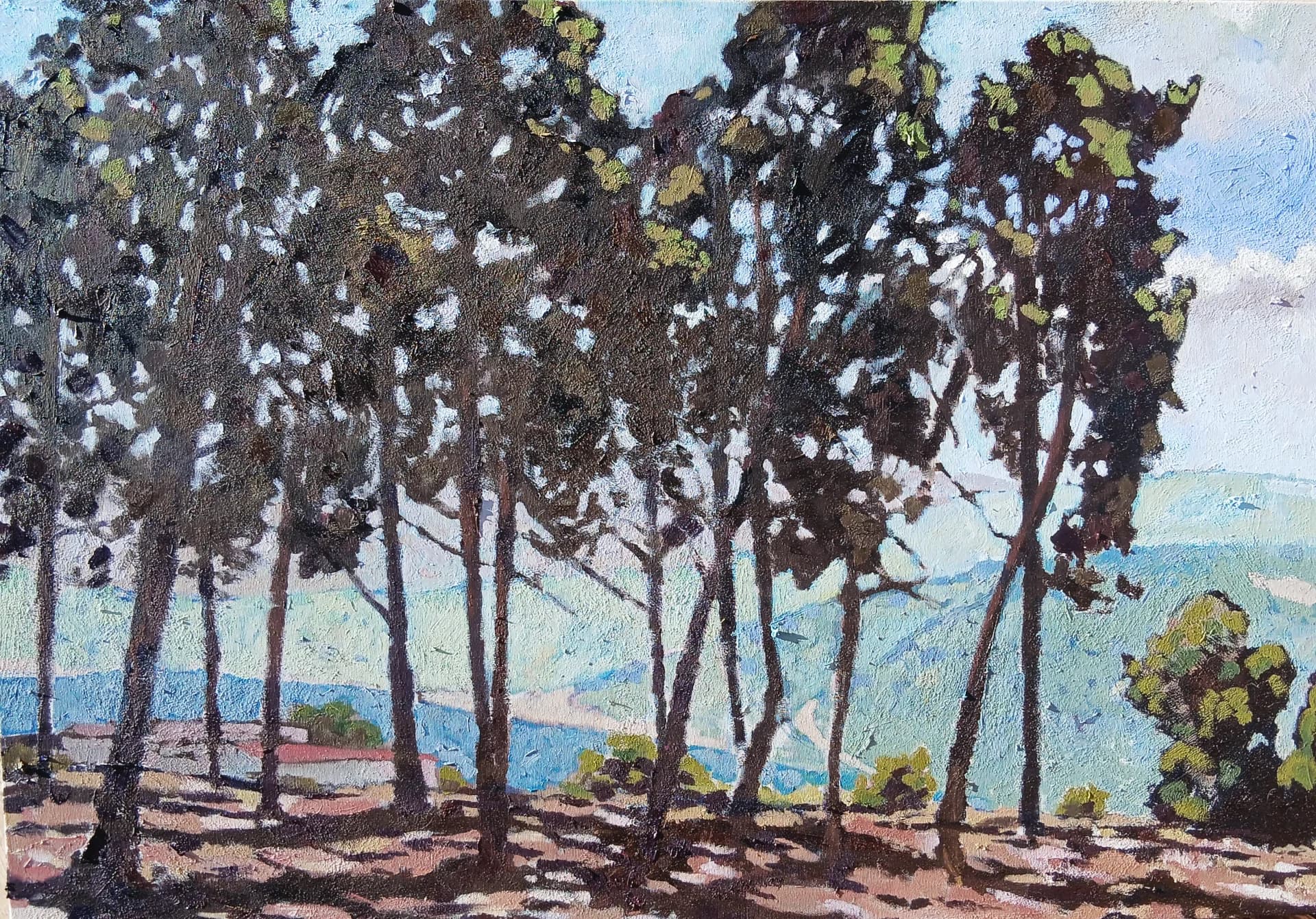 Light Through the Pines