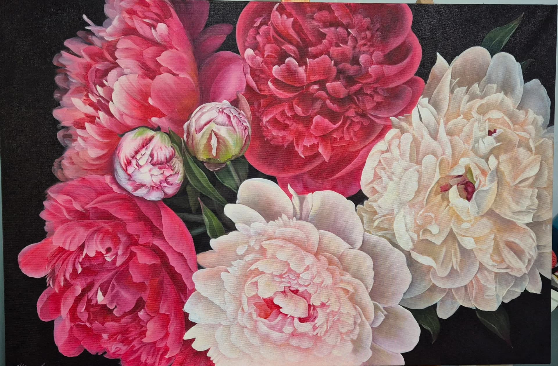 A bouquet of peonies