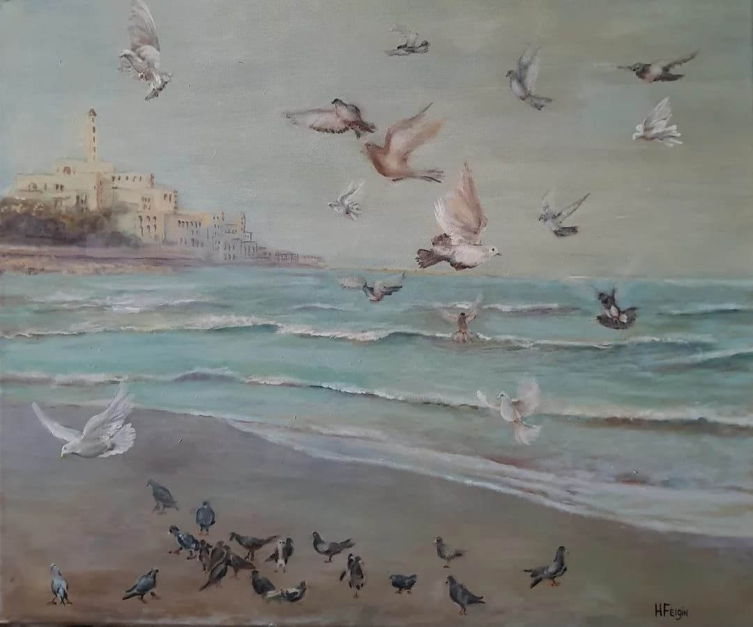 Wings Above the Shore
