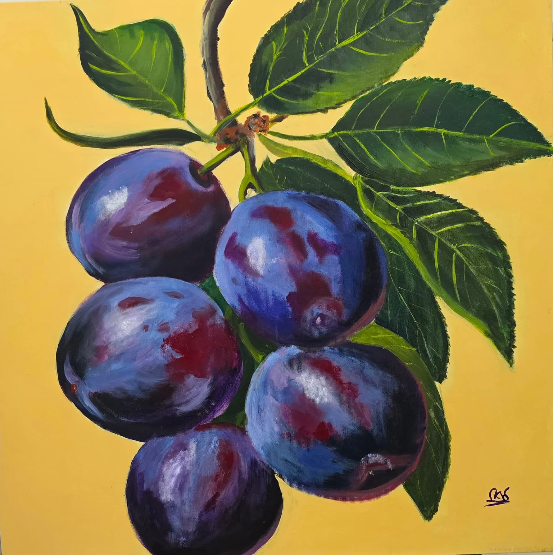 Plums in Golden Light