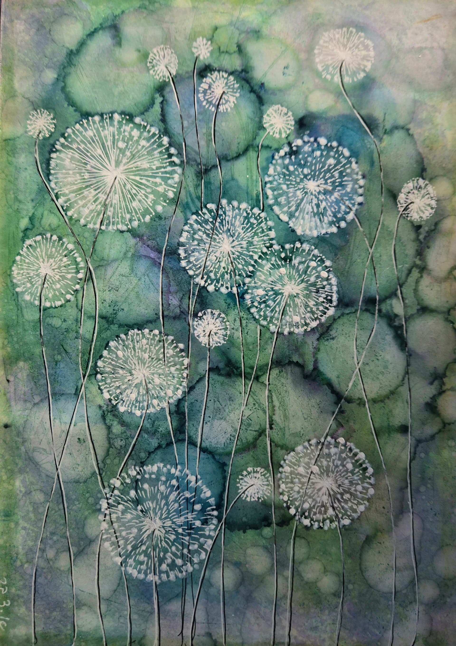 A Field of Seed Heads