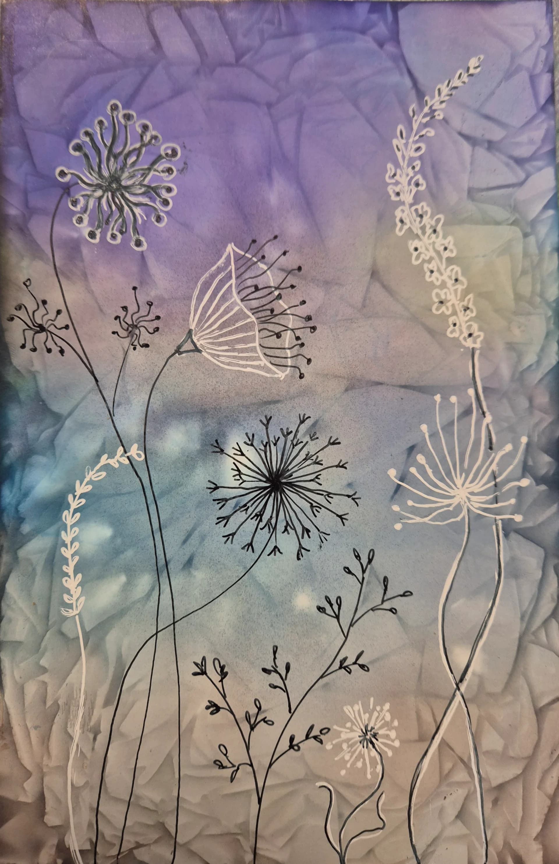 DELICATE BLOOM