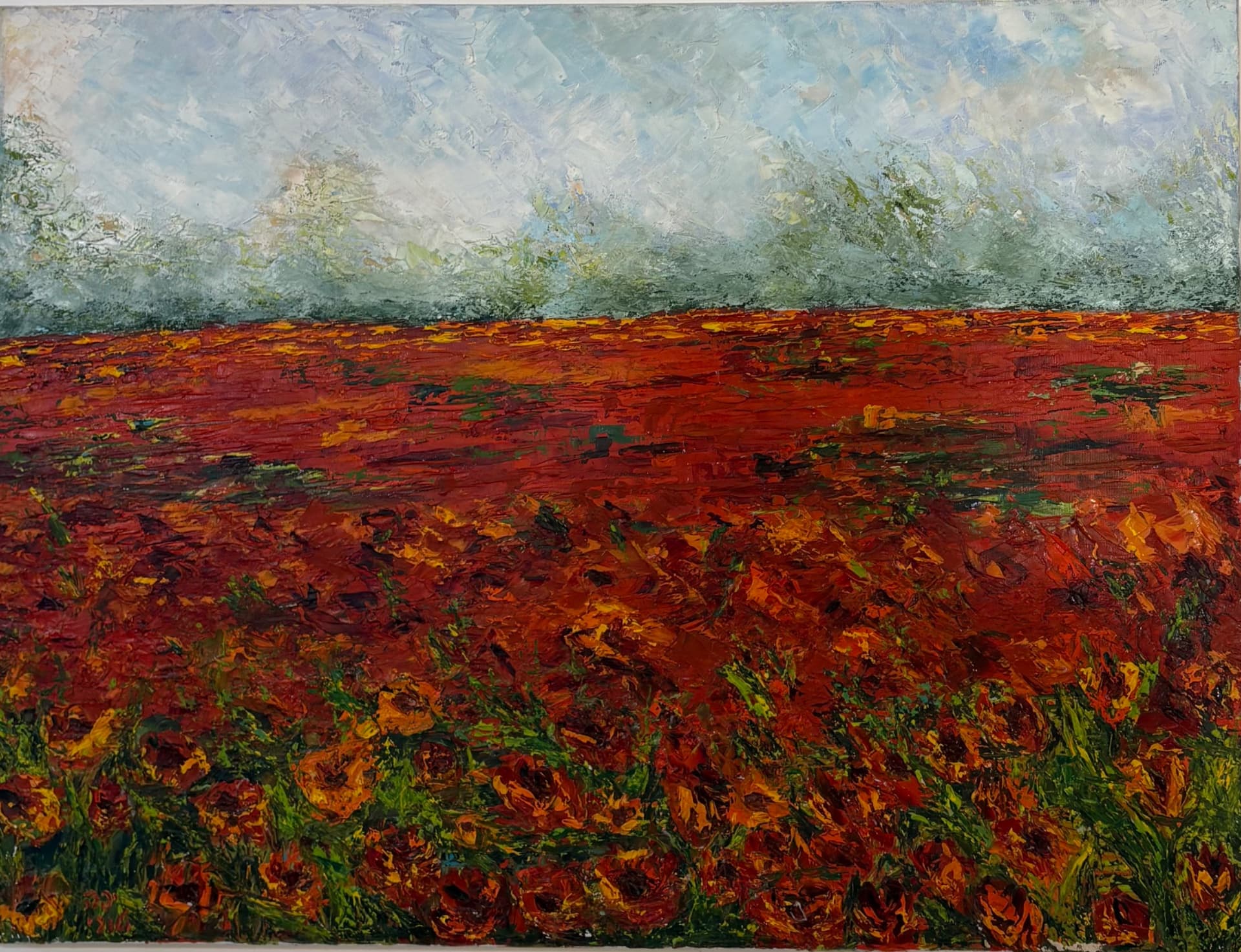 Field Beneath a Pale Sky