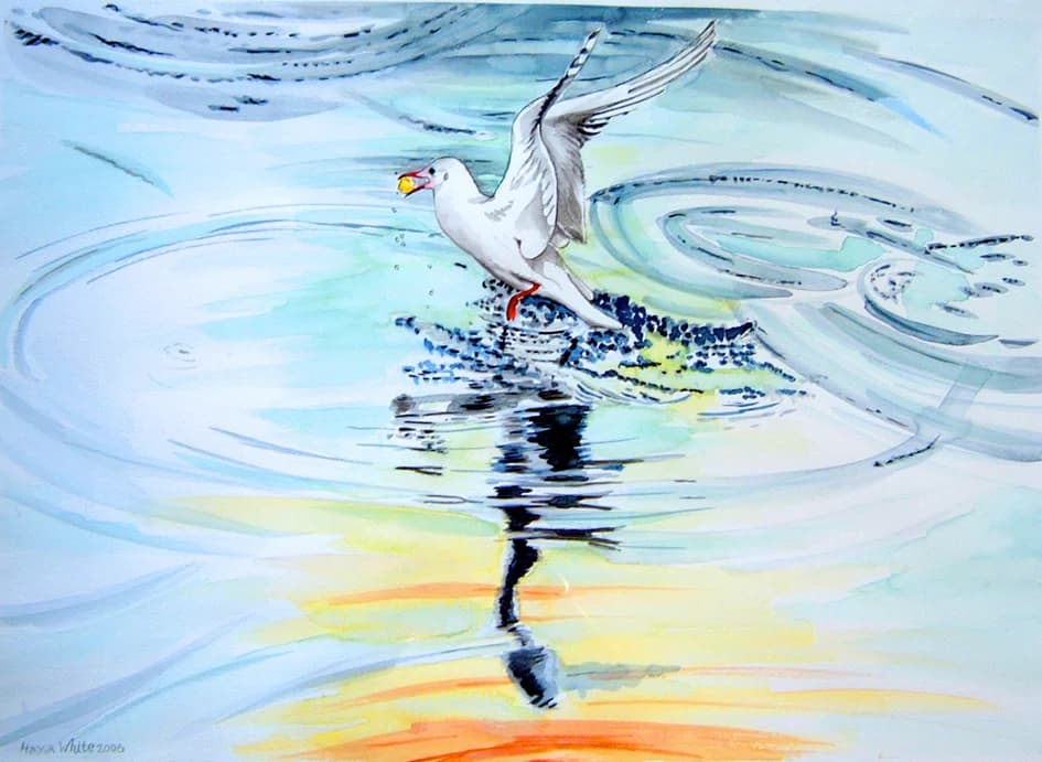Gull Among the Ripples