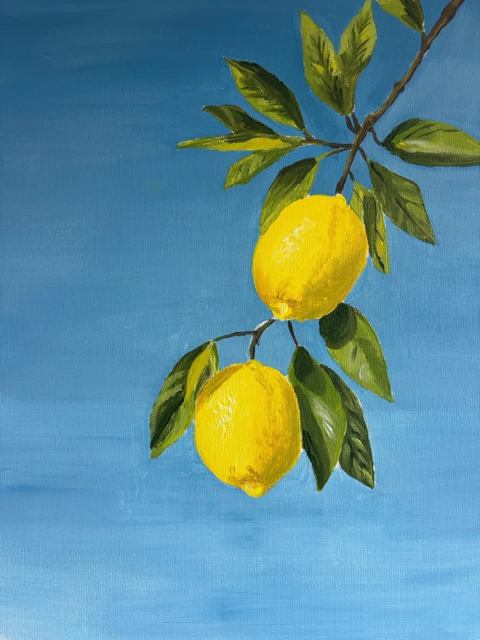 Lemons Against Blue