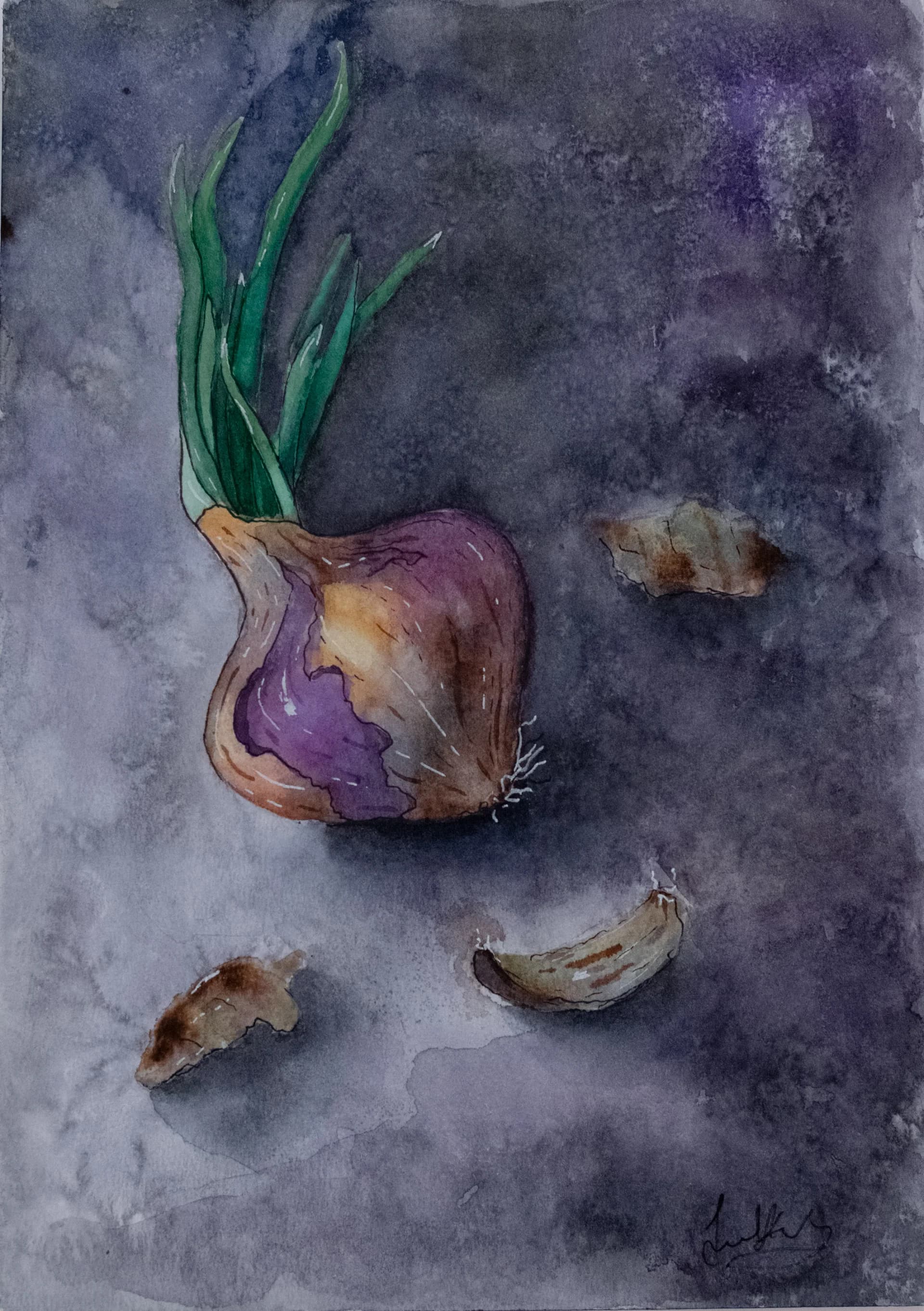 Onion on dark background