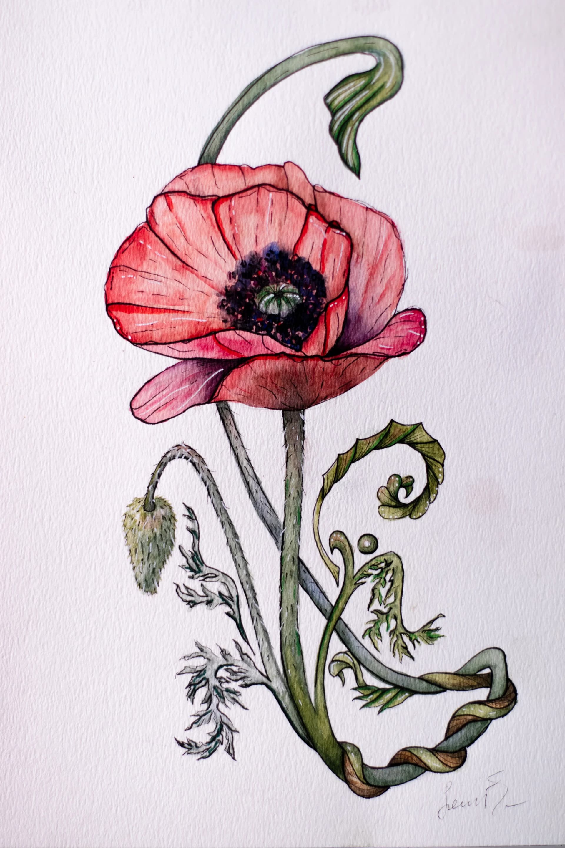 Art Nouveau poppy in Curled Leaves