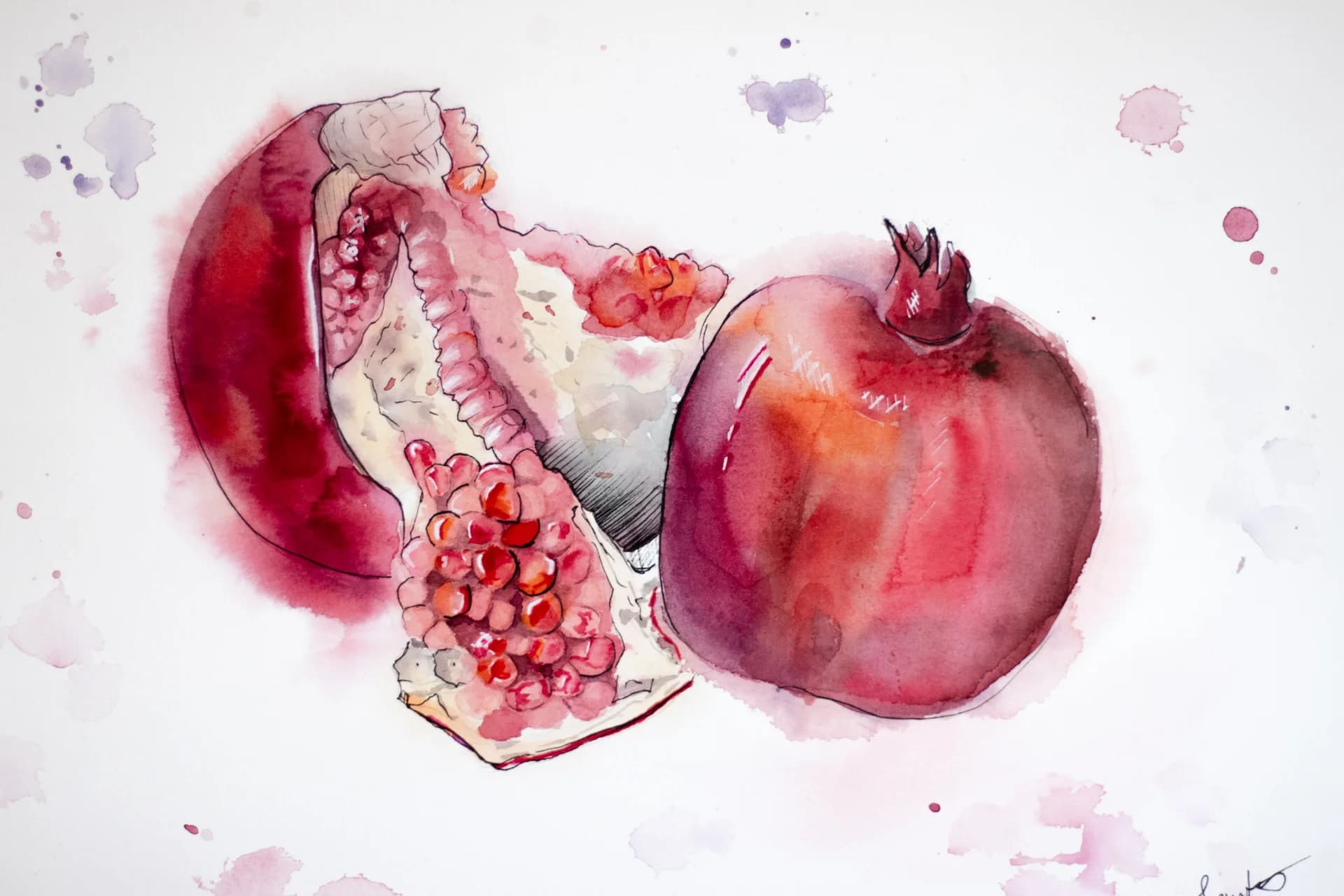 Inside the Pomegranate
