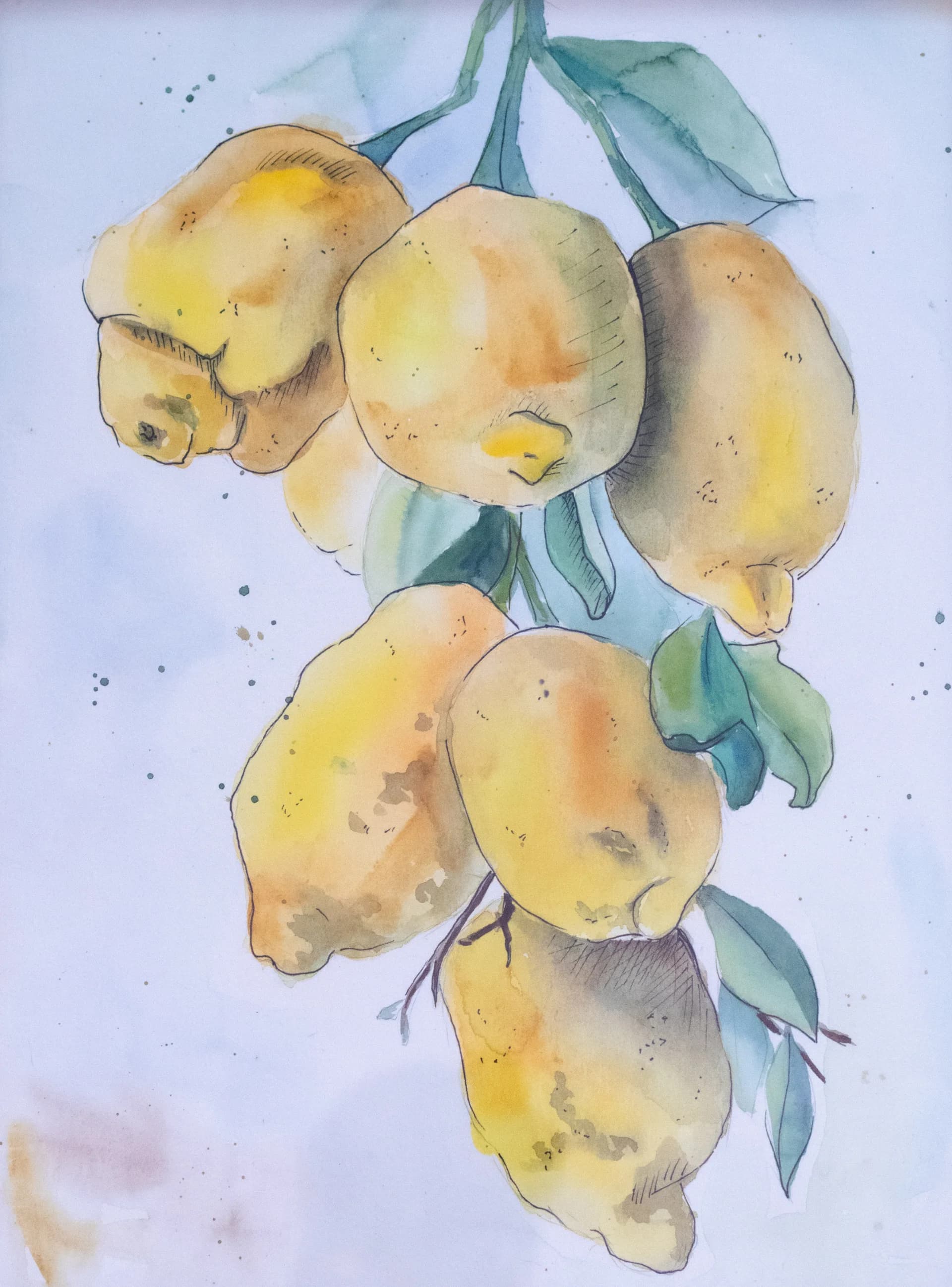 Golden Lemons on the Branch